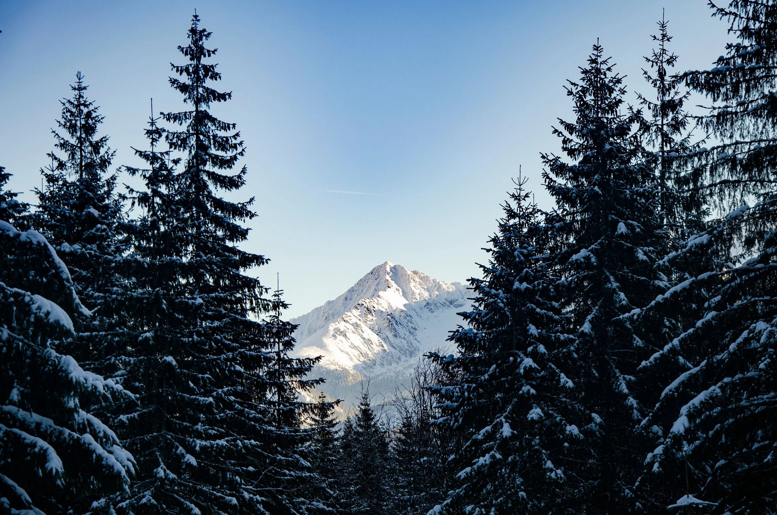 Sacred Silence Retreat
