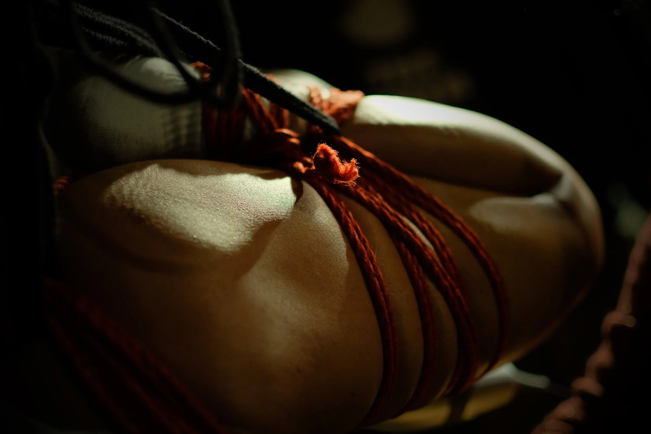 Shibari - A'shua Imran 9.JPG