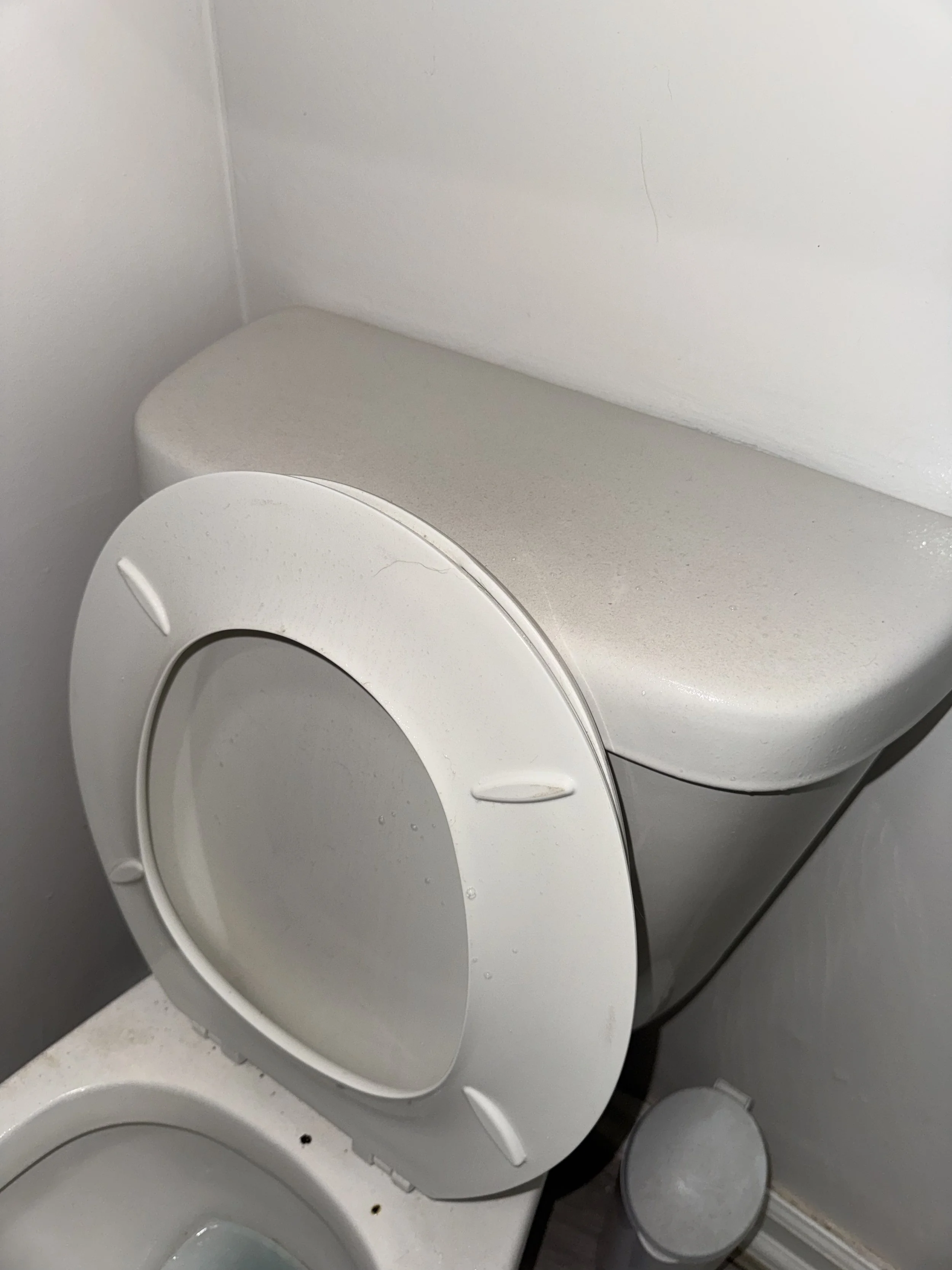Toilet with open lid, located in a small bathroom with white walls, and a small trash can underneath.