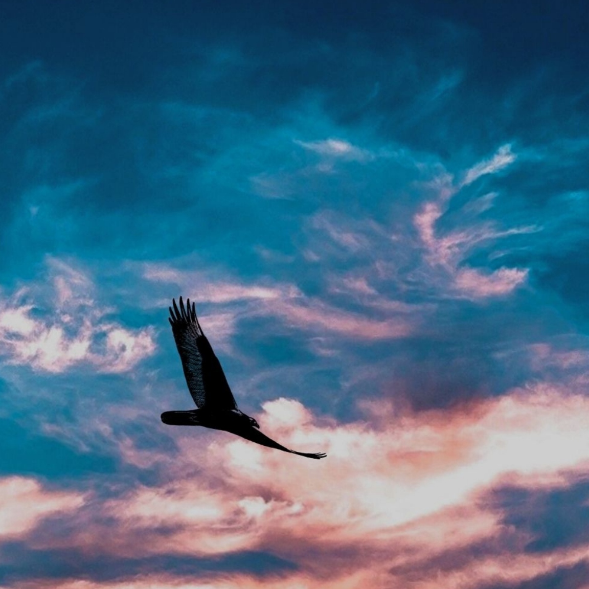 Intuition Liberation Program