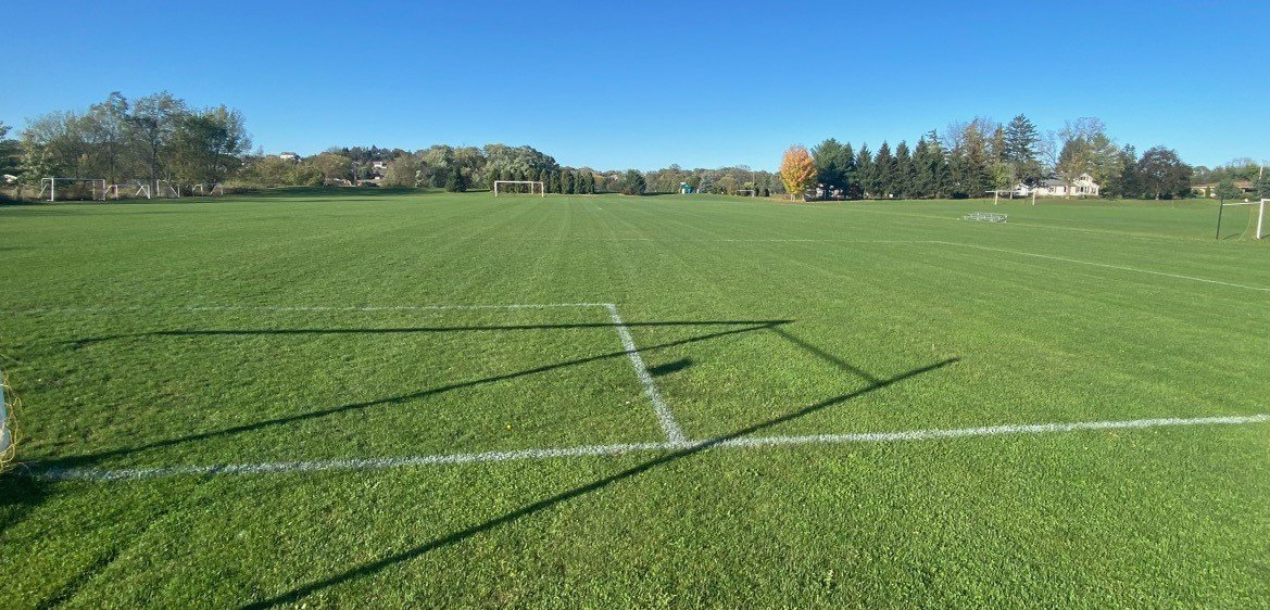 A soccer field with goal posts and field markings on green grass under a clear blue sky, with trees and houses in the background.