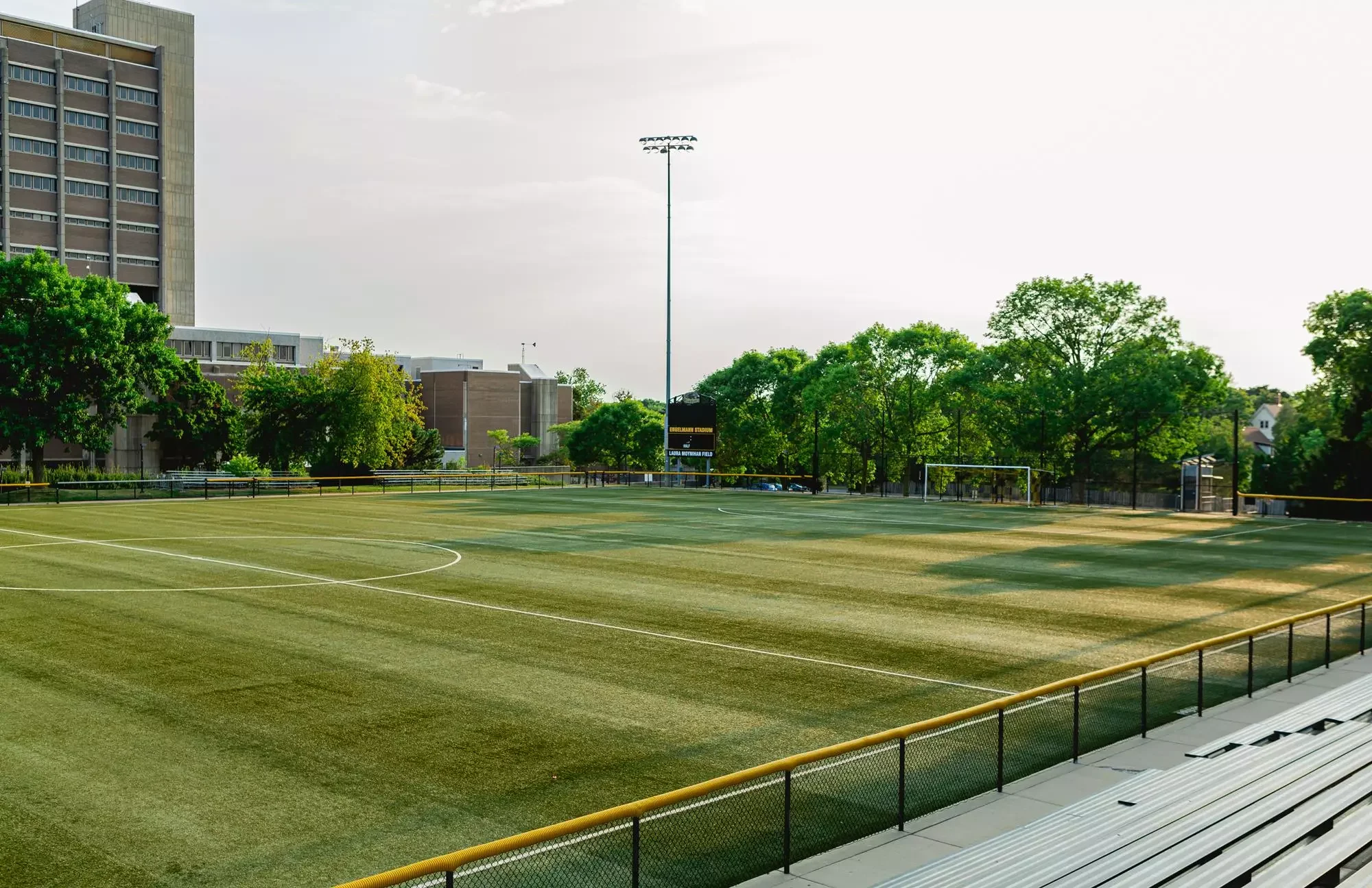 Empty outdoor soccer field with well-maintained turf, surrounded by a black and yellow fence, with trees and buildings in the background, and a cloudy sky overhead.