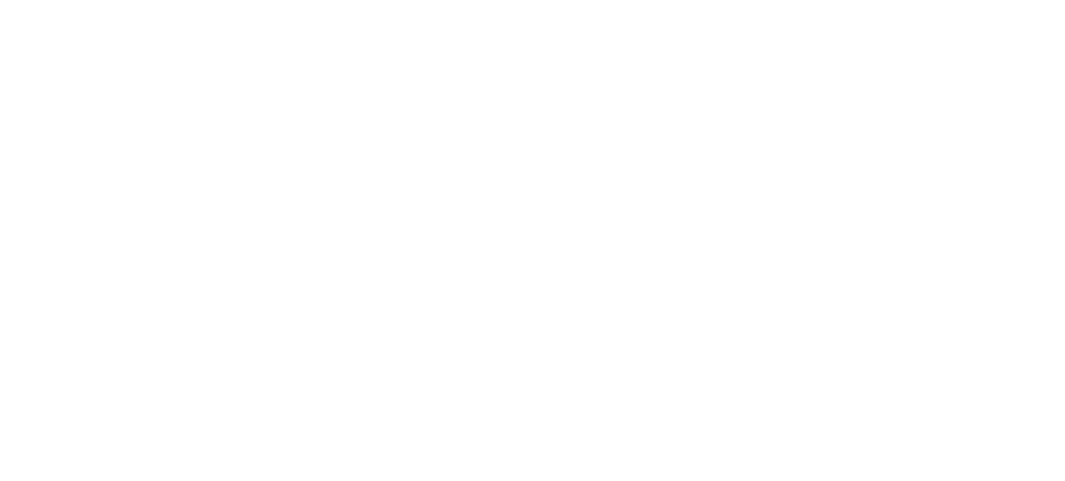 Drone Access Solution