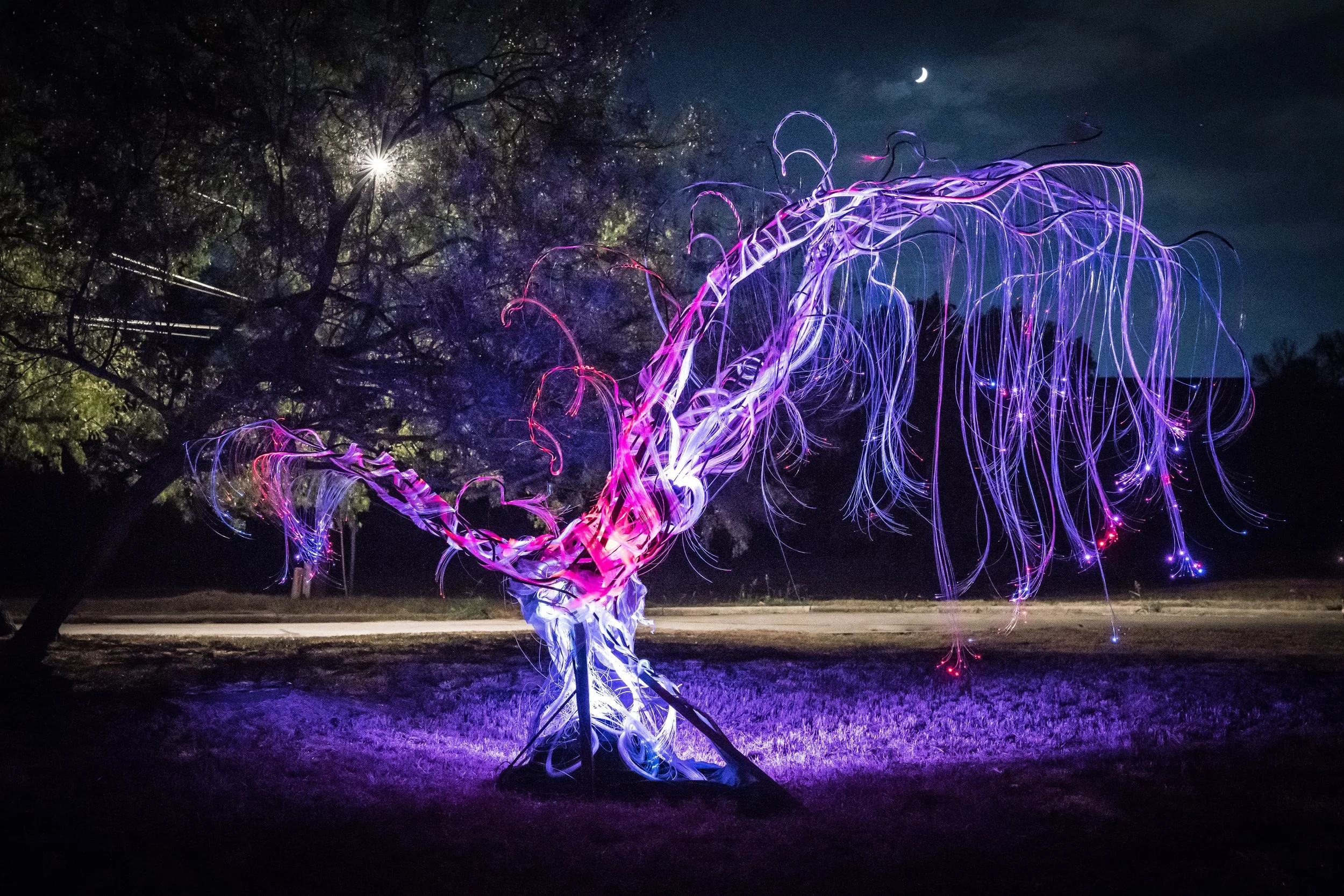 Austin Landscape Sculpture - Ms Tree 2024 - The Circle - 03.jpg