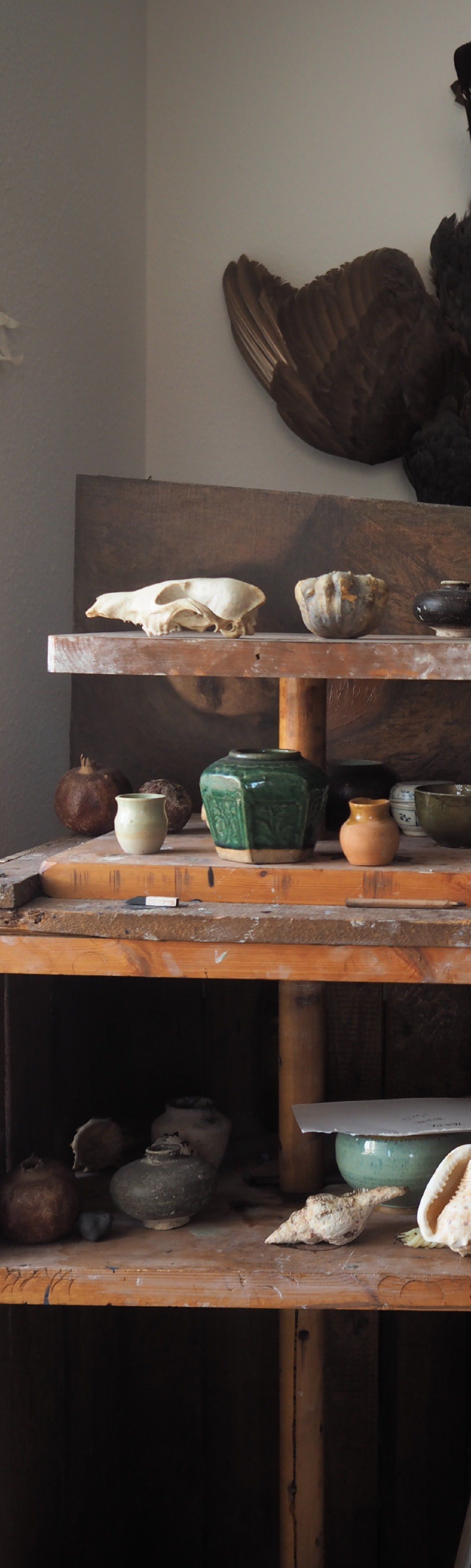 A wooden shelf displaying animal skulls, pottery, and ceramic vases with a bird's wing mounted on the wall above.