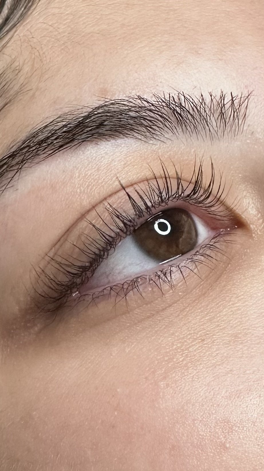 Close-up of a person's eye showcasing brown eye color, long eyelashes, and well-groomed eyebrows.