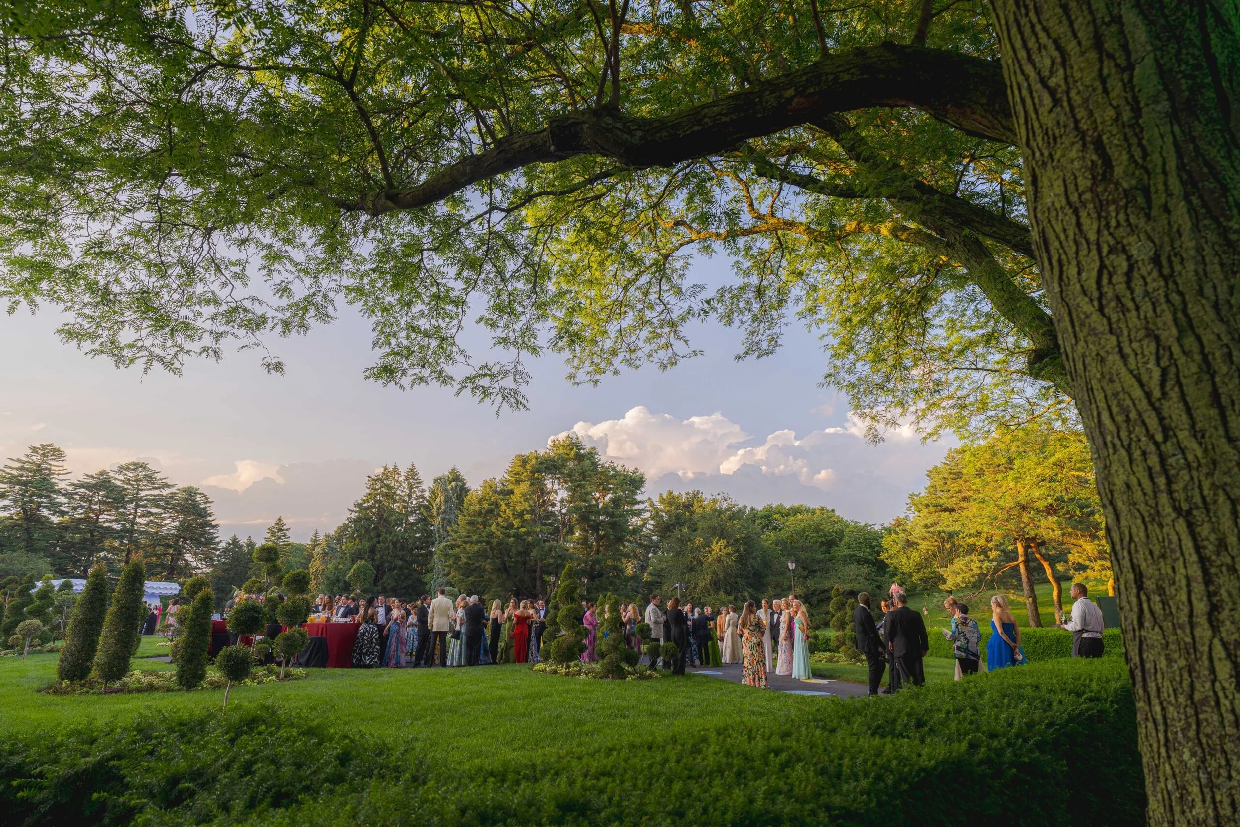 Luxury Wedding Catering: How to Create an Unforgettable Culinary Experience