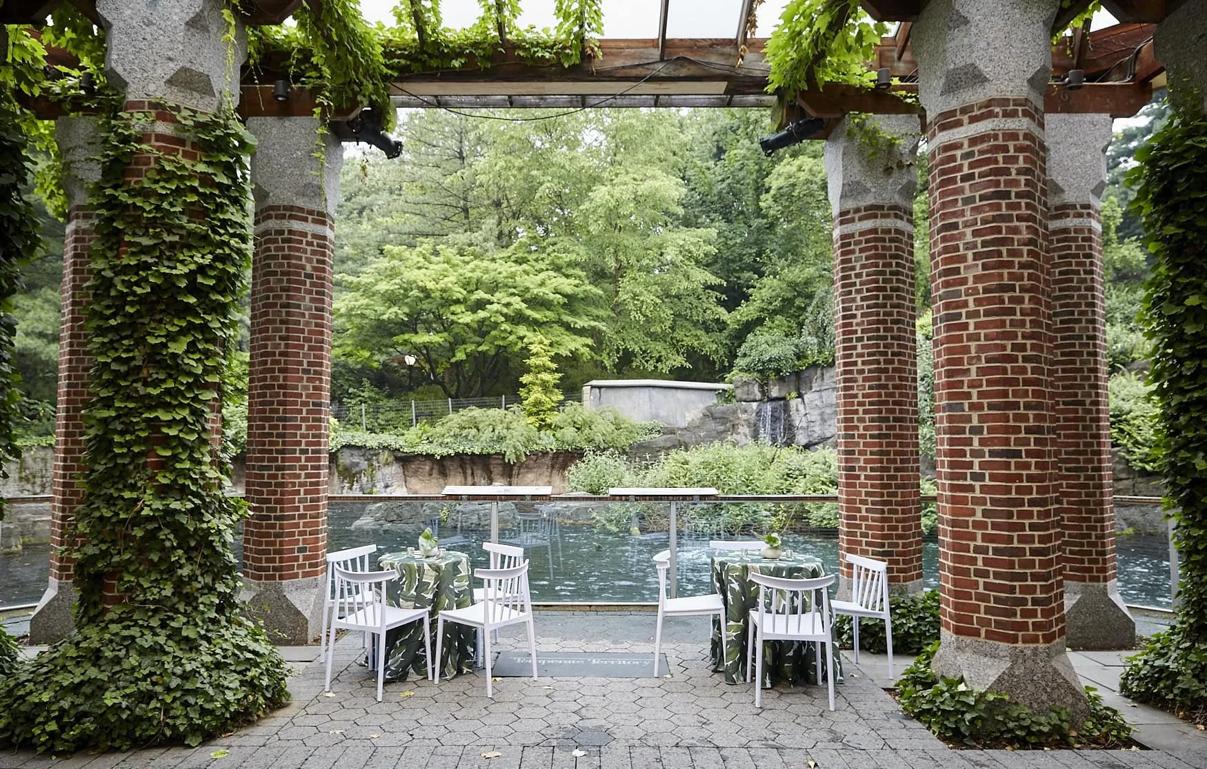 5 Reasons to Choose High-End Catering in NYC for Your Special Occasion