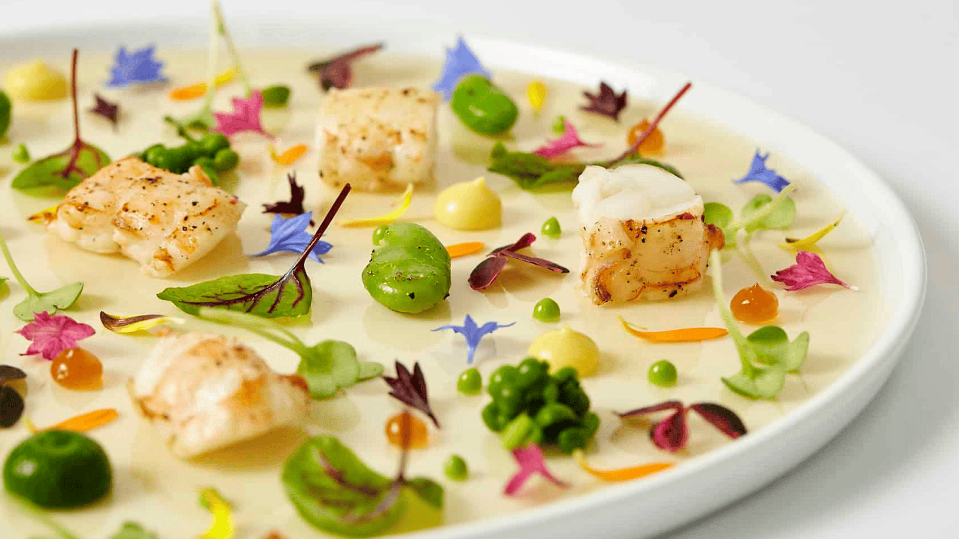 How to Choose the Best Social Event Catering in New York