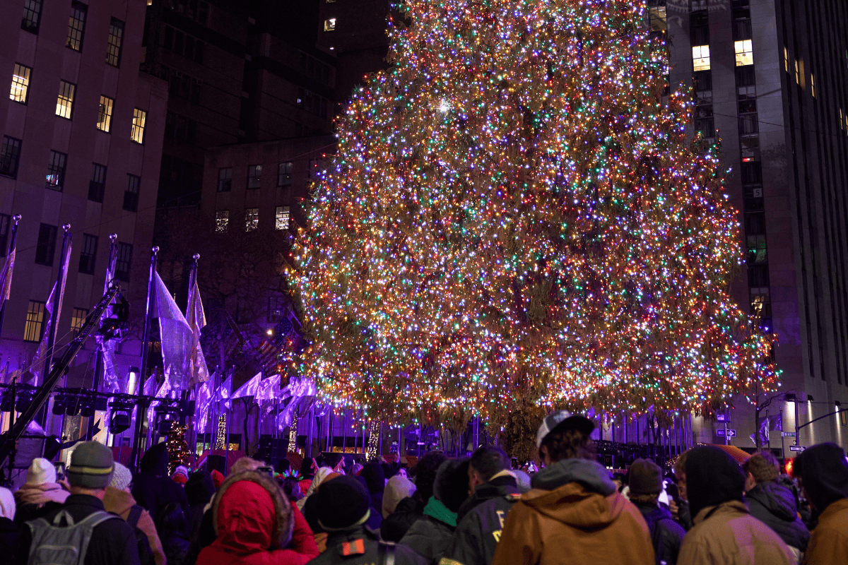 Holiday Food Trends in NYC: What’s Shaping Seasonal Menus This Year