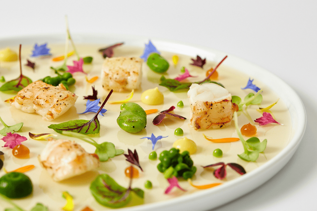 What to Expect from High-End Catering in NYC: Trends, Logistics &amp; Hospitality Standards