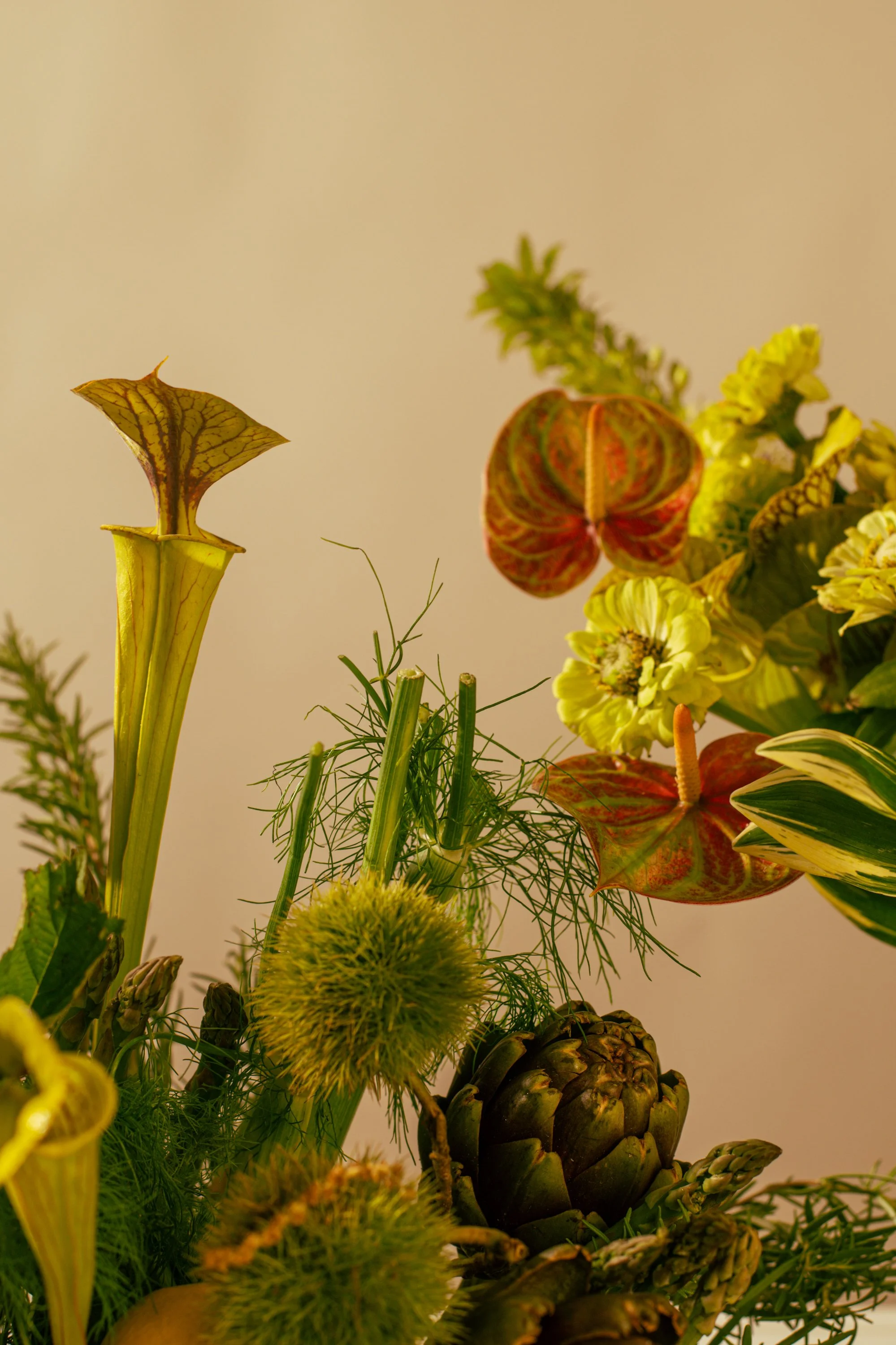 Close-up of a floral arrangement with various plants and flowers, including a pitcher plant, artichoke, and assorted greenery.