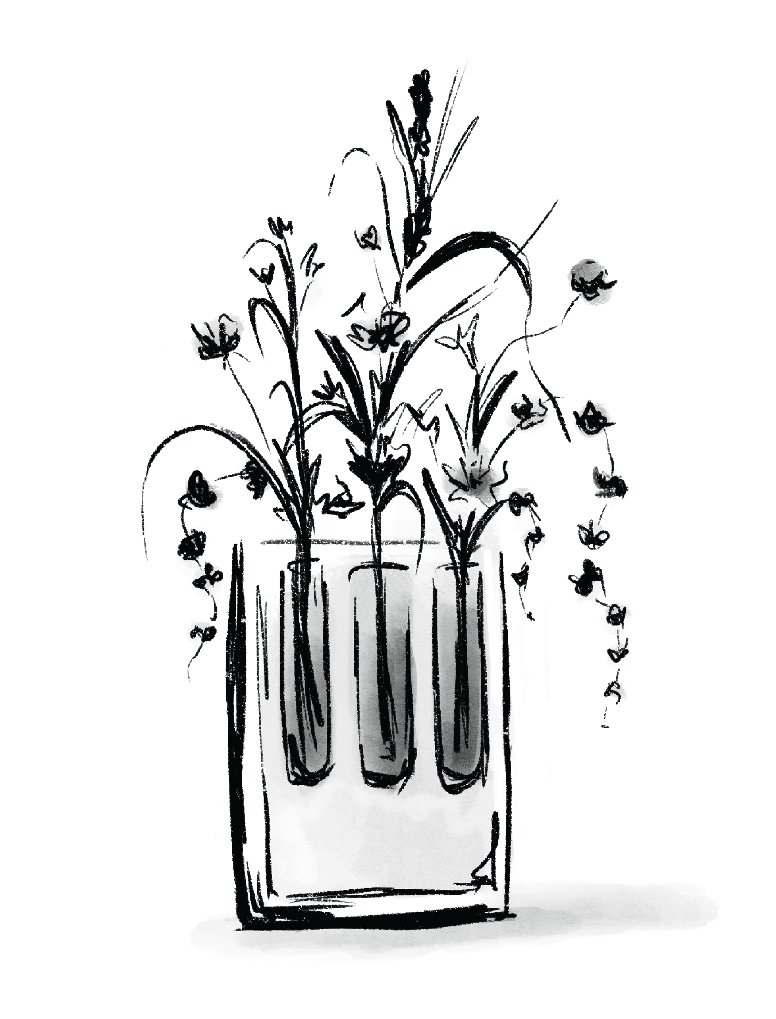 Silhouette of a potted plant with multiple stems and small flowers.