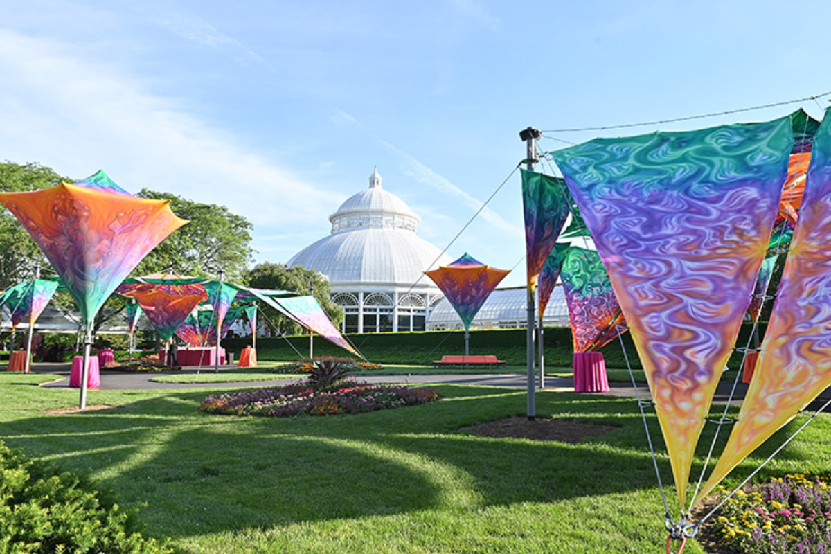 An outside venue for a catering event with colorful flags everywhere