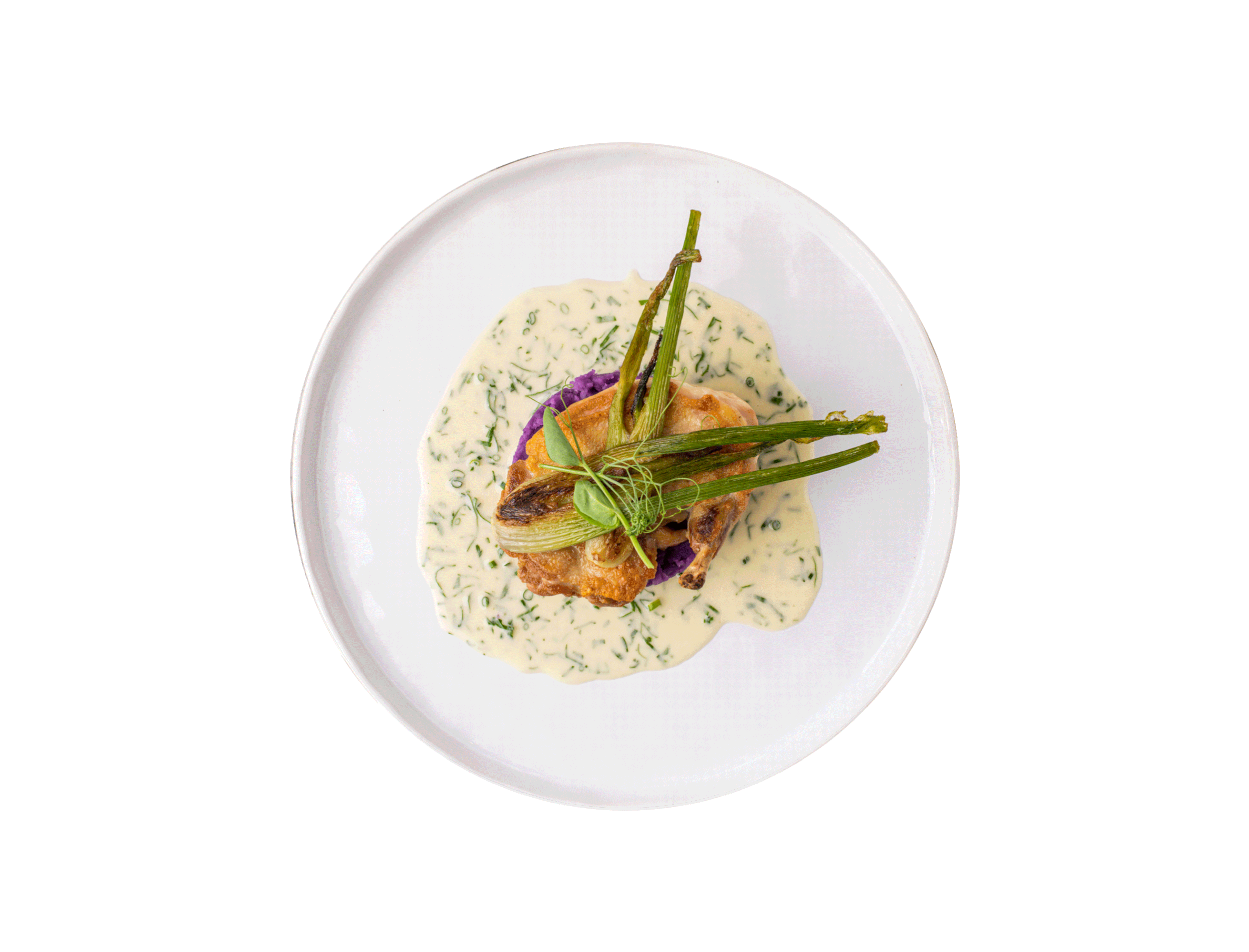 A plated gourmet dish featuring grilled chicken, green vegetables, and a creamy herb sauce garnished with fresh herbs on a white plate.