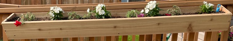 Cedar Hanging Deck Planter.png