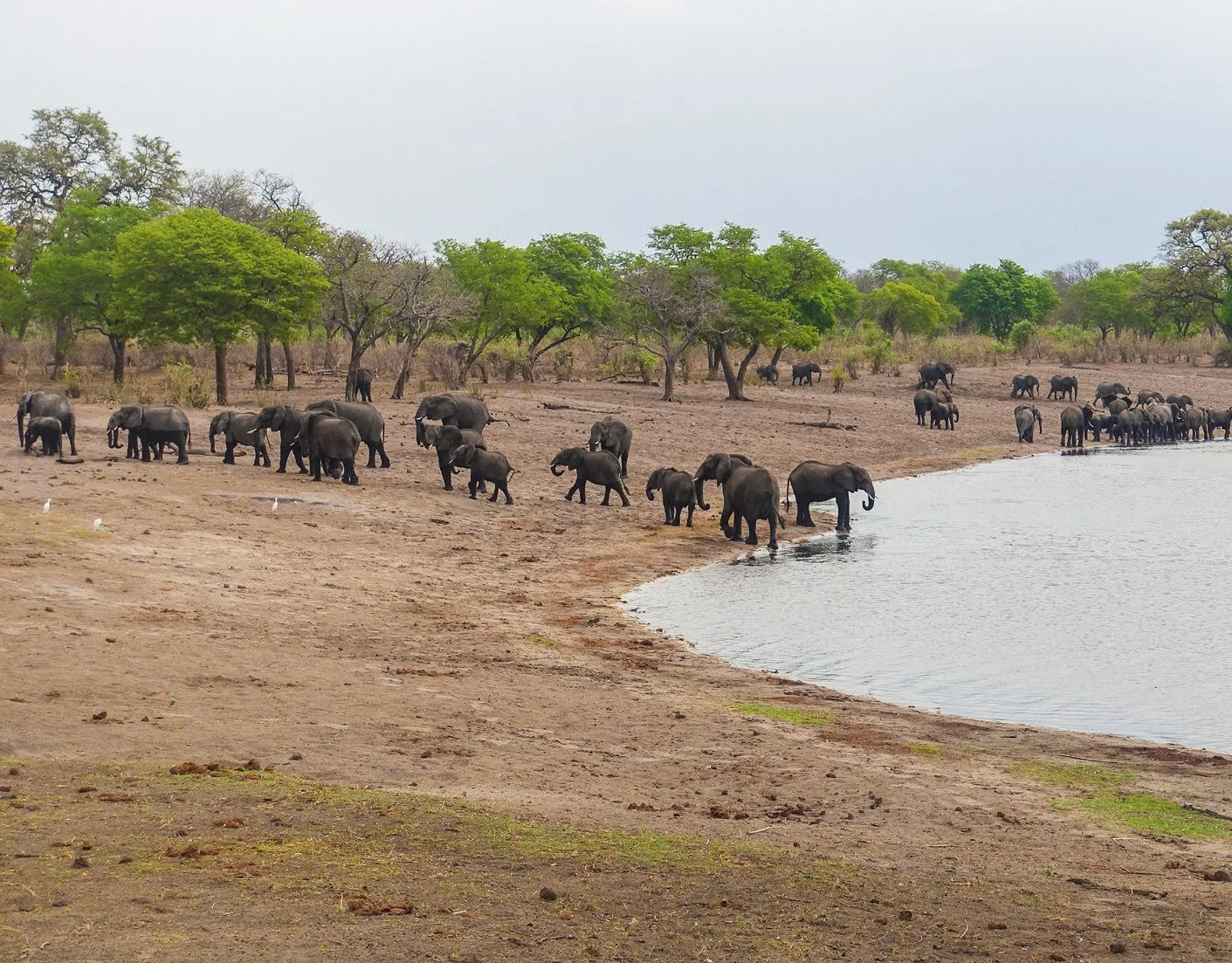 Traveltip: Entlang Namibias grünem Streifen trifft man auf eine spektakuläre Tierwelt – ein Reisebericht.
