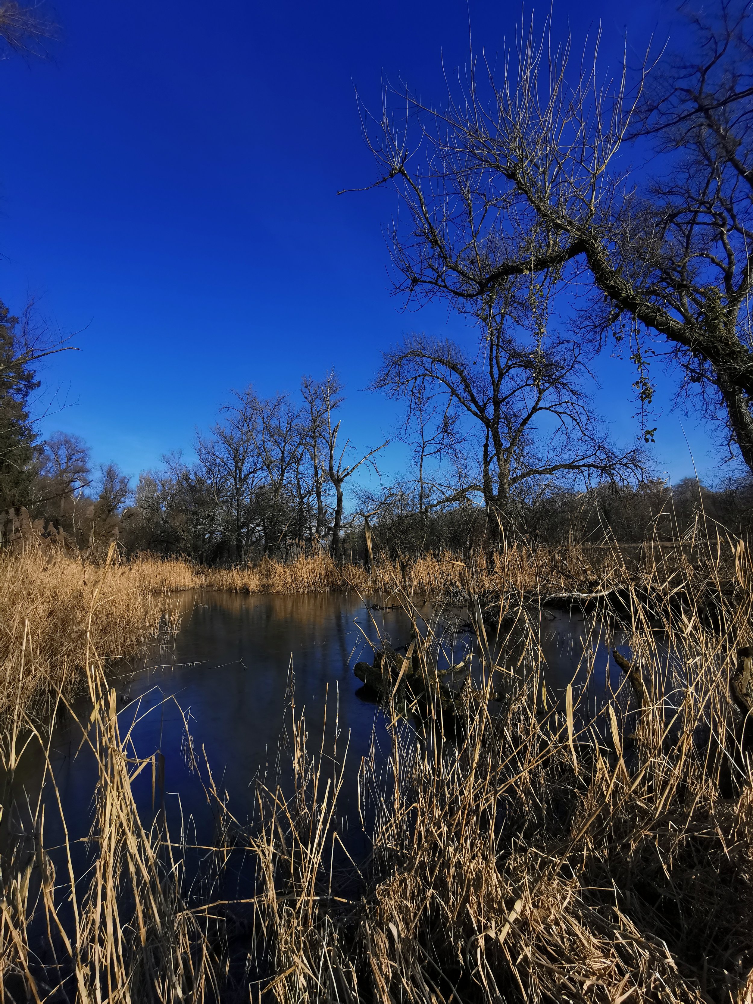 Beobachter: Unterwegs auf einer Wanderung im Flussauengebiet Thurauen.