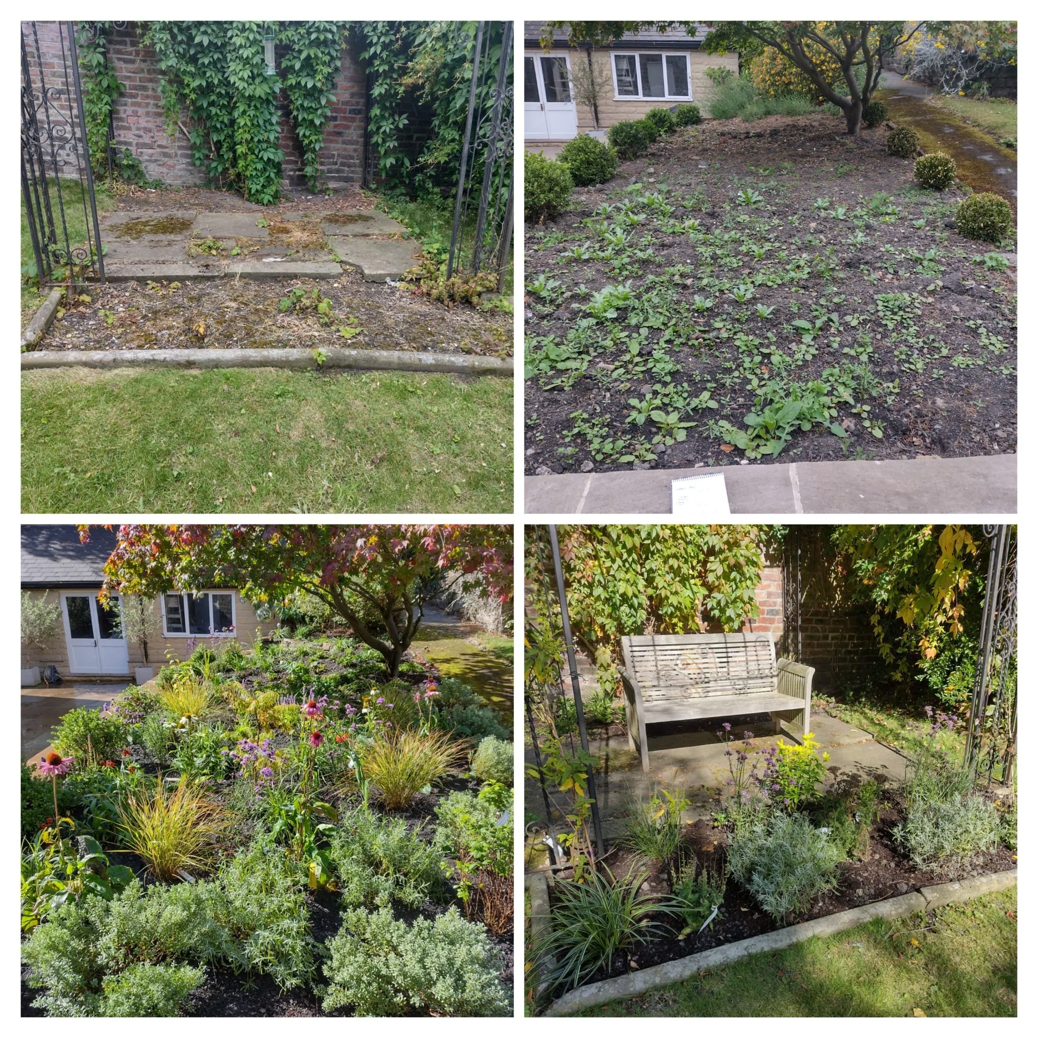A simple planting scheme rescued what had survived and reinvigorated unloved beds.