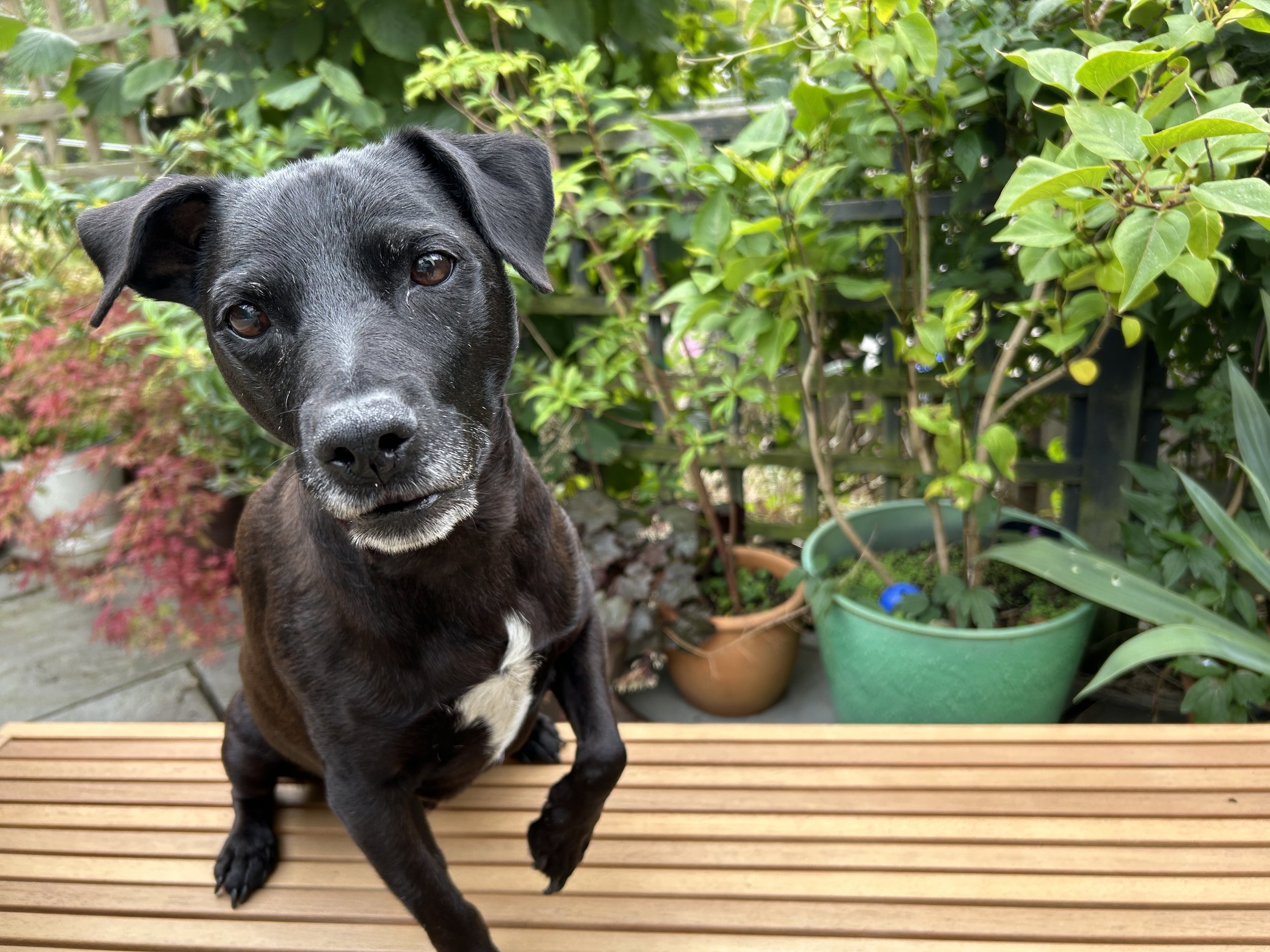 Benny the bossman on quality control. 