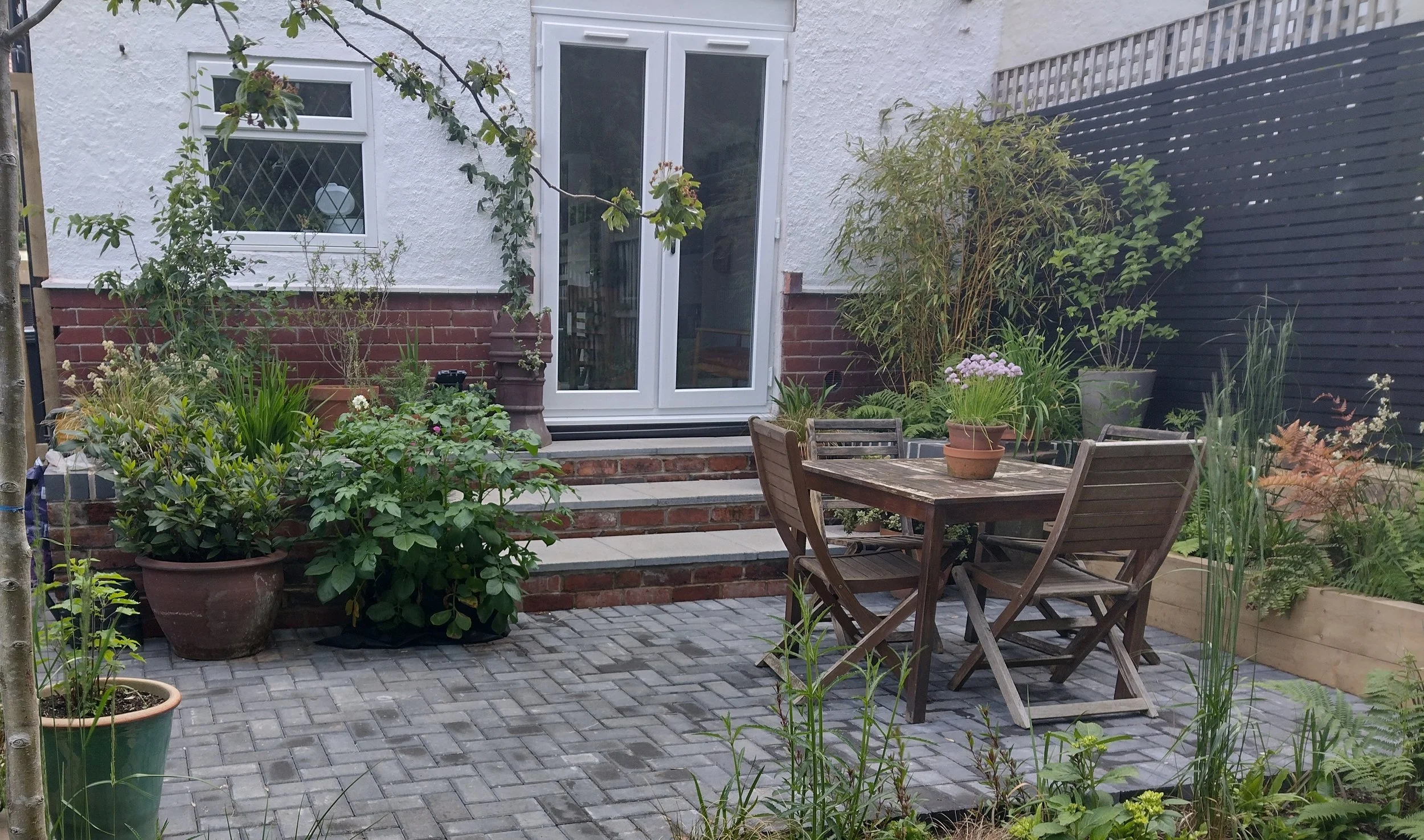 Pots on the patio make for versatile planting and propagation space for our gardening client.