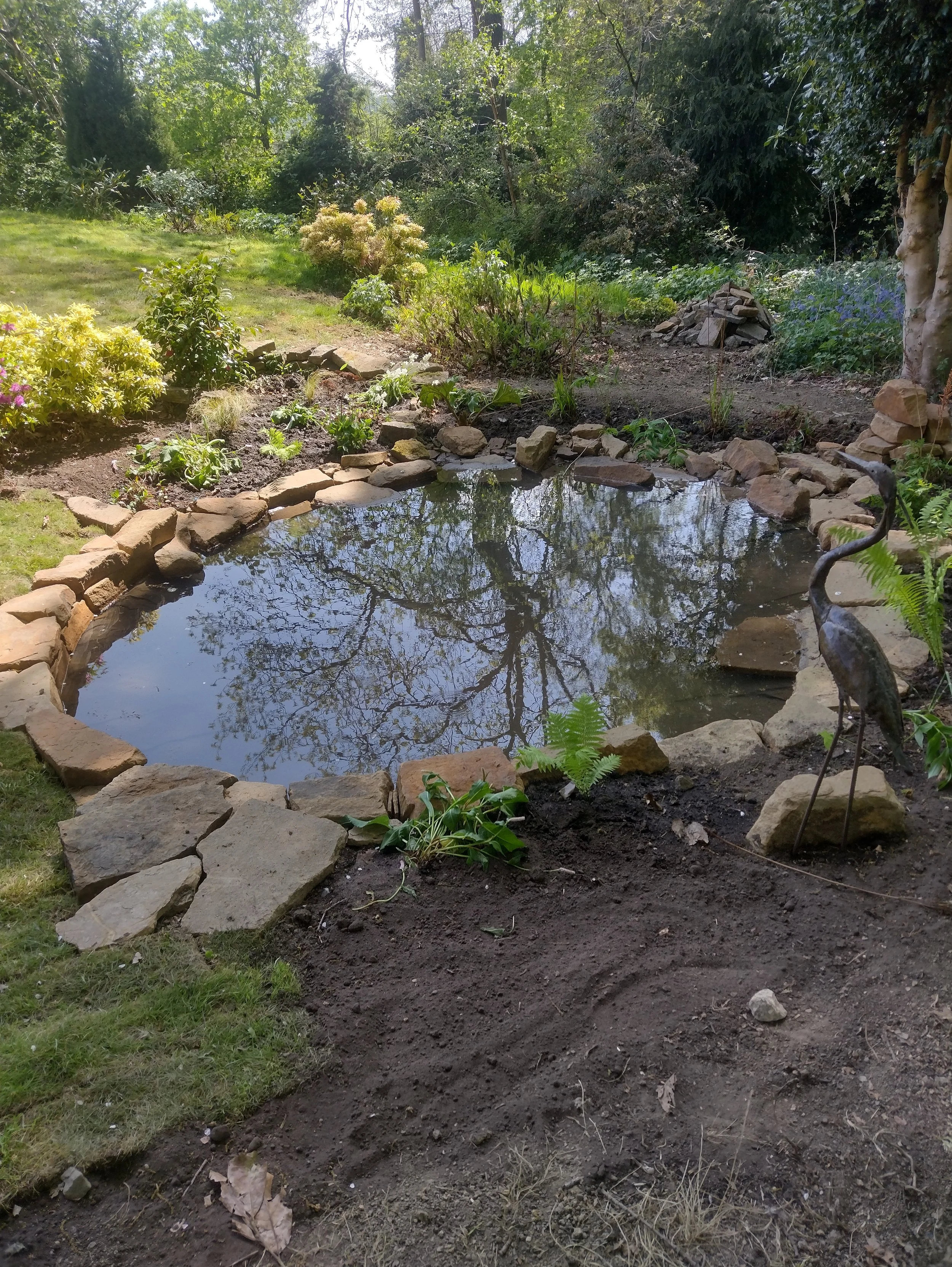 The pond slopes gently to make it wildlife safe, and makes great use of the lowest, naturally wet end of the garden.