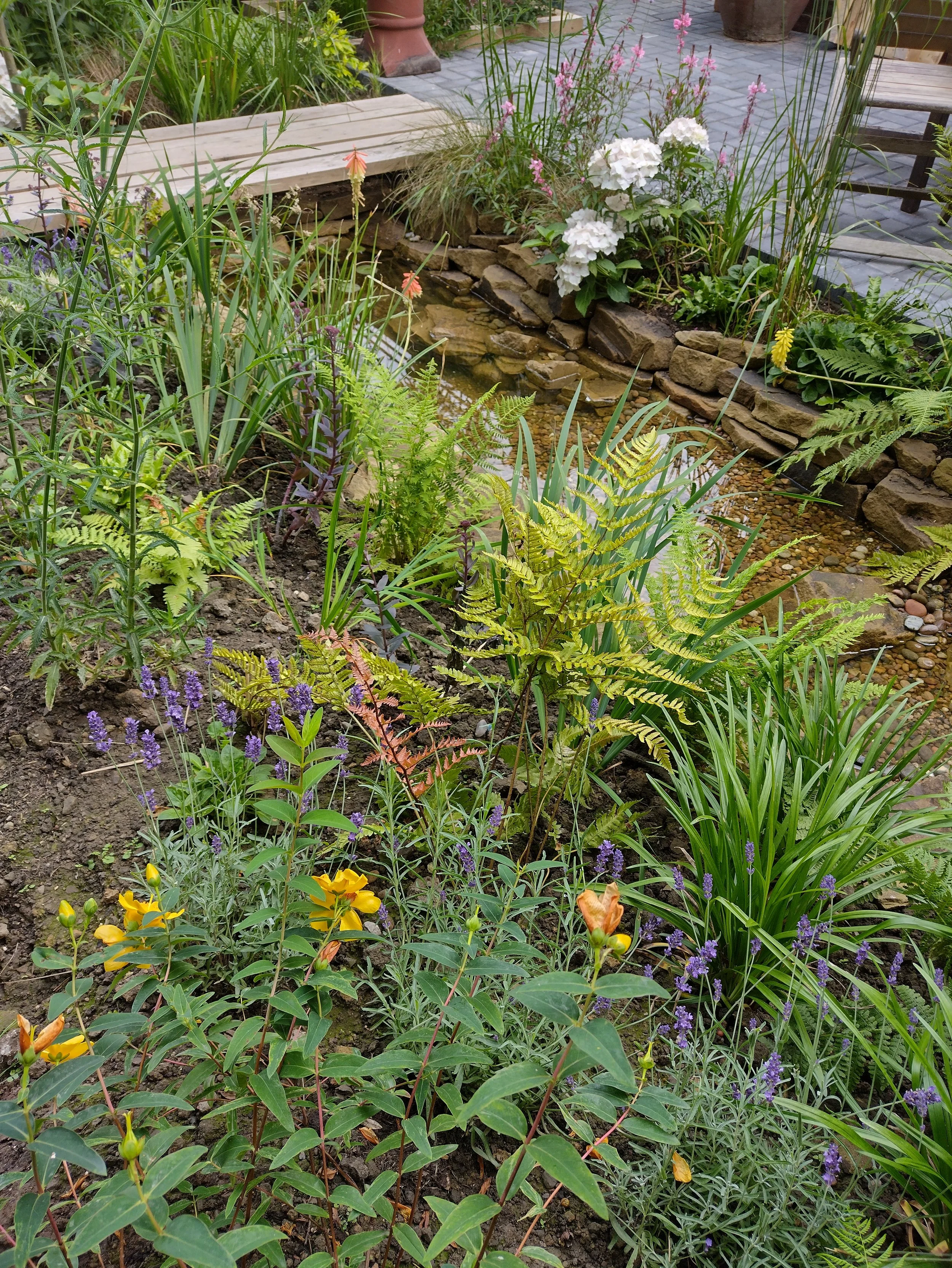 Planting was designed to grow into lush banks of colour and fragrance.