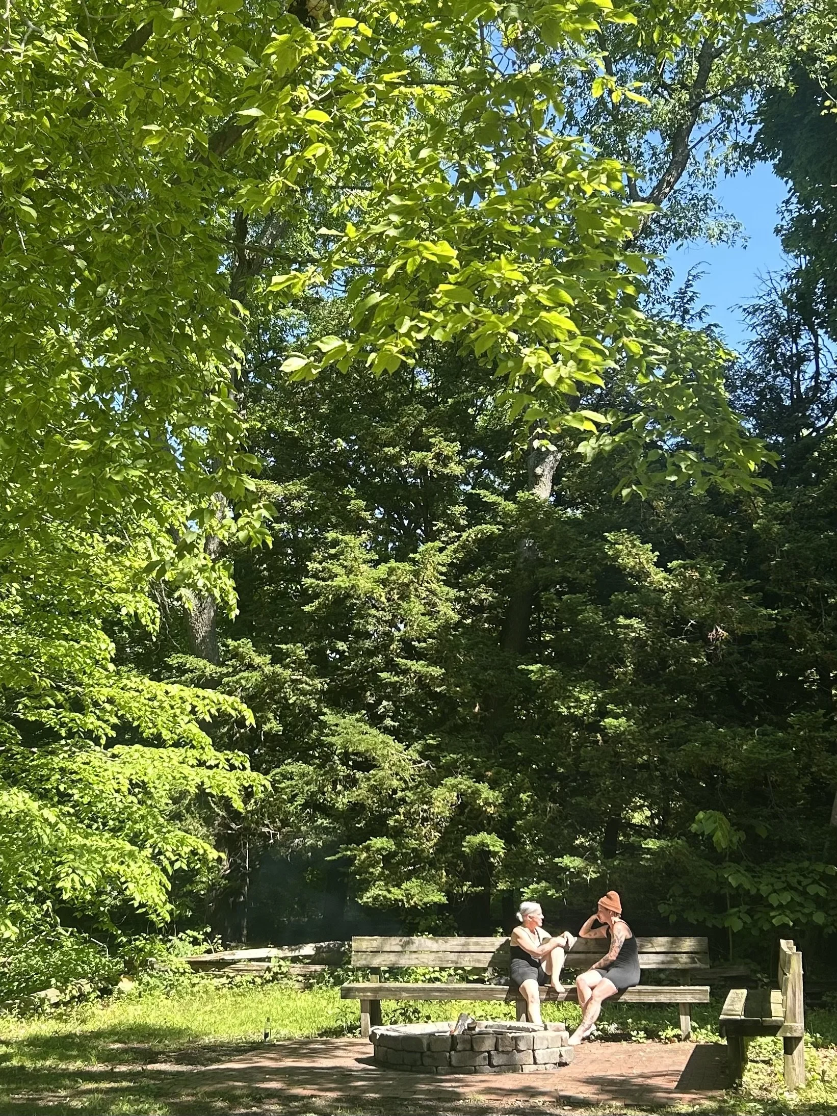 IMG_0894.jpeg