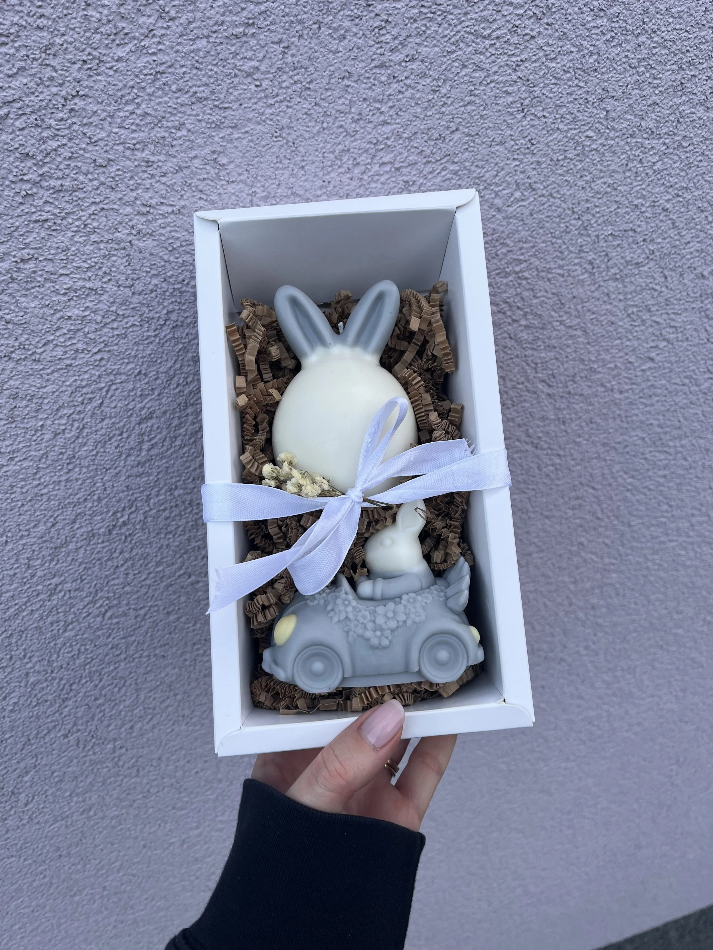 Driving Bunny (Light Blue/Grey)