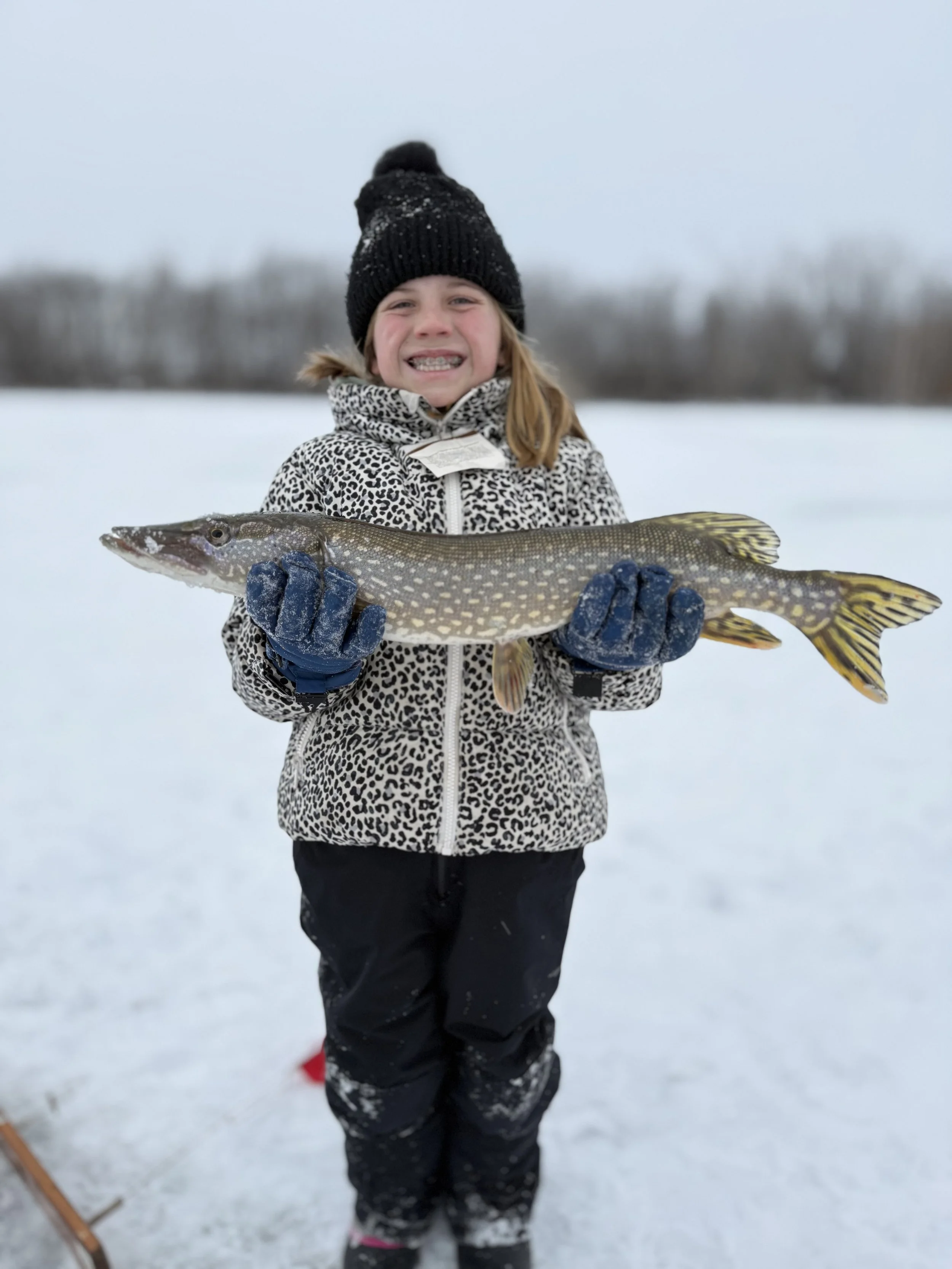 A young girl standing on snow holding a Northern Pike she caught through the ice, outdoors during winter, smiling at the camera, wearing a black hat, a leopard print winter jacket, and blue gloves.