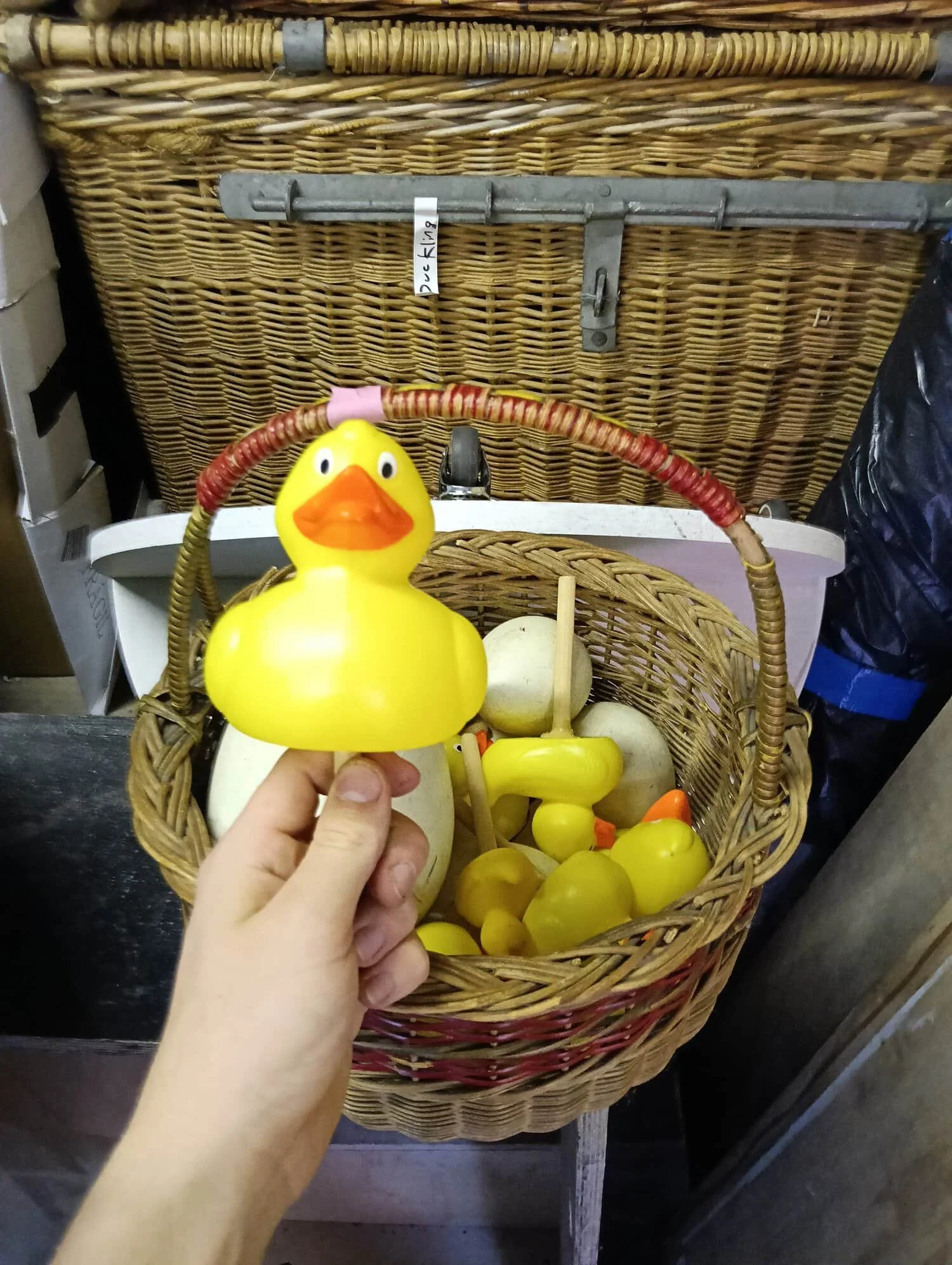 ducks on sticks.jpg
