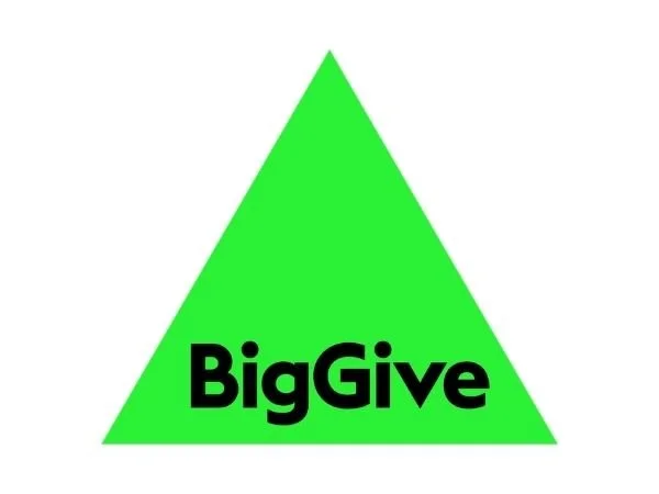 The Big Give logo - a bring green triangle with black writing that says 'BigGive'.