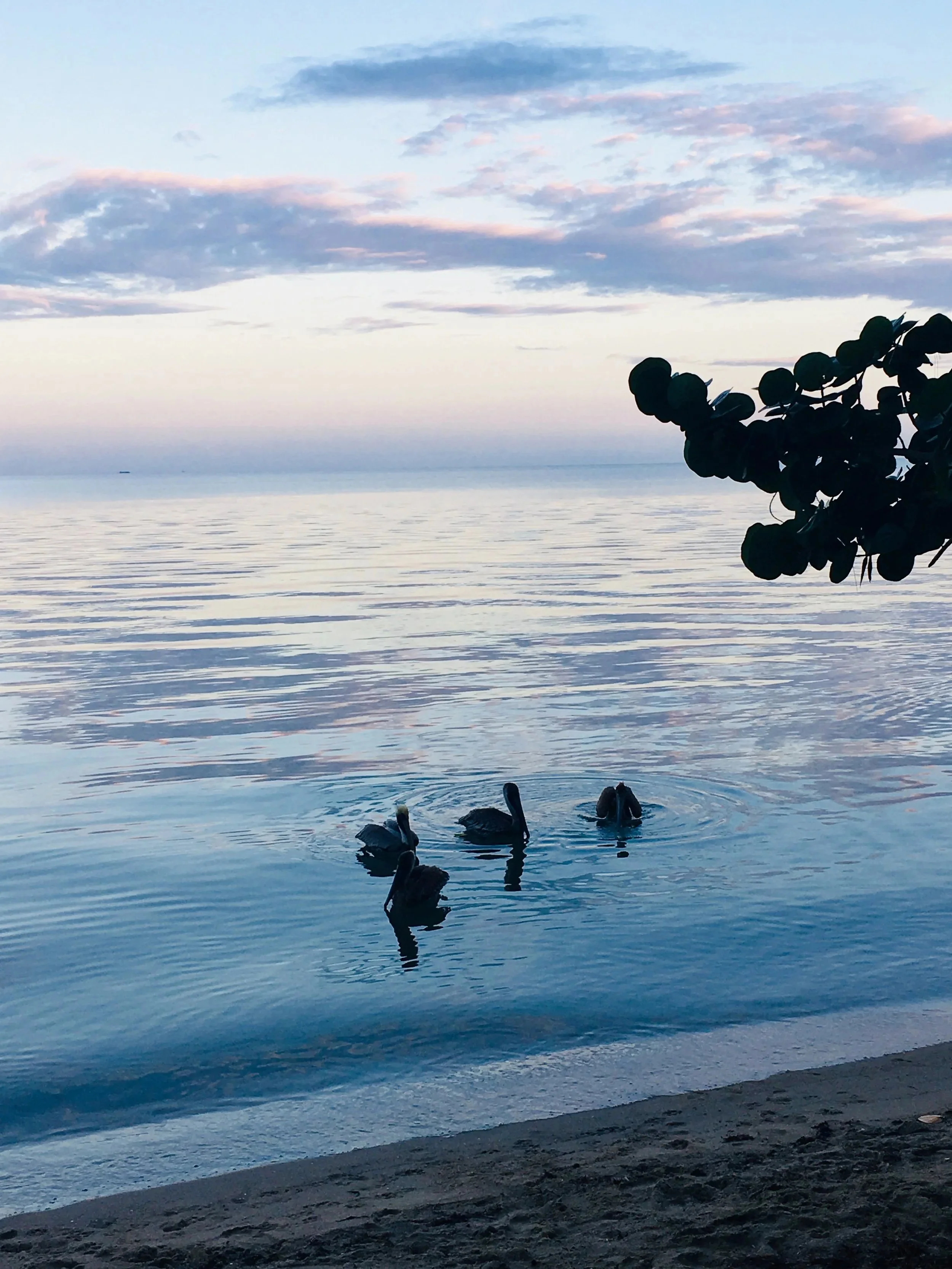 Sunset swim in Hopkins Belize with Cal Tropic Tours  