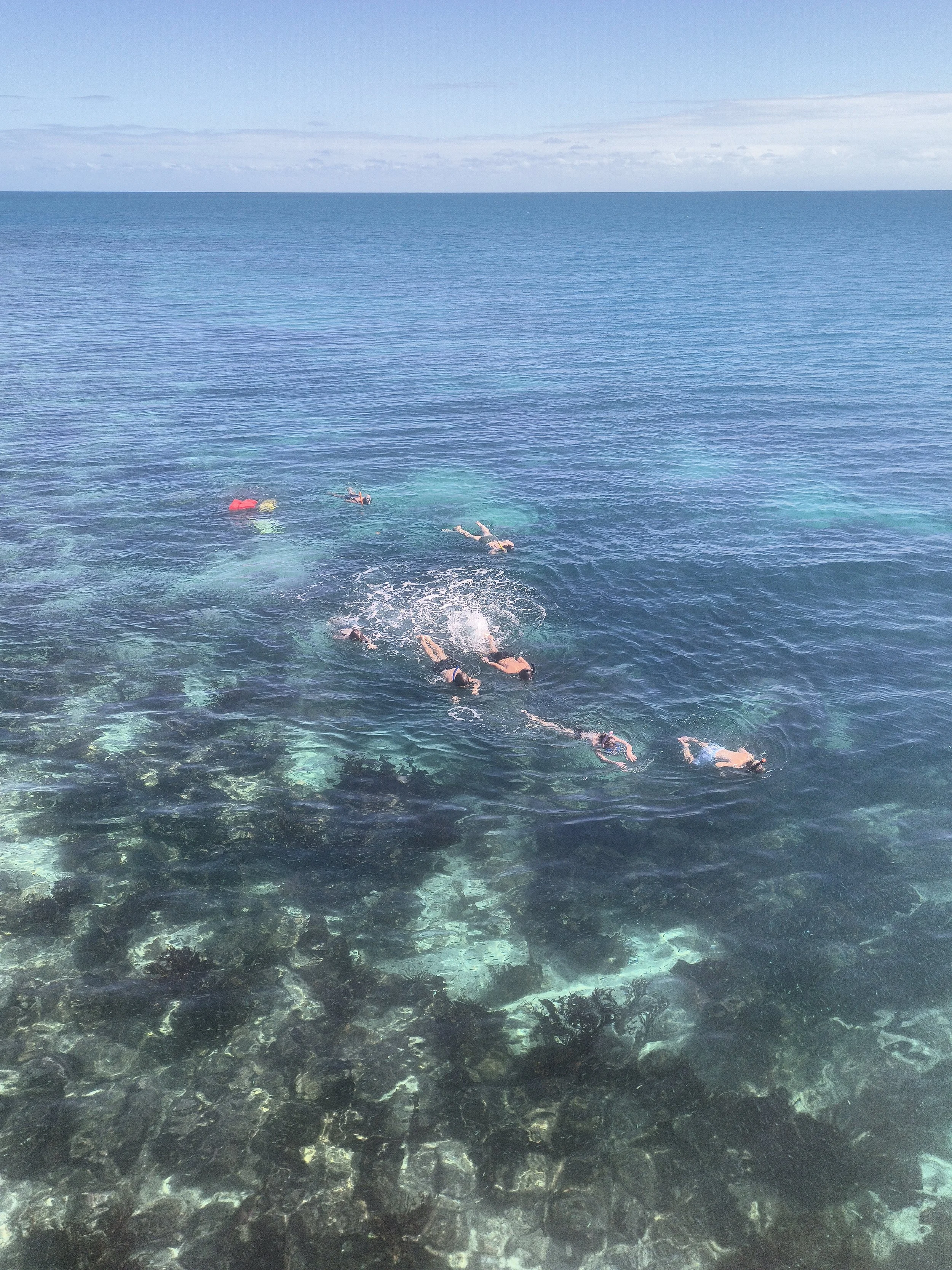 full day snorkeling in crystal water in Hopkins Belize with Cal Tropic Tours 