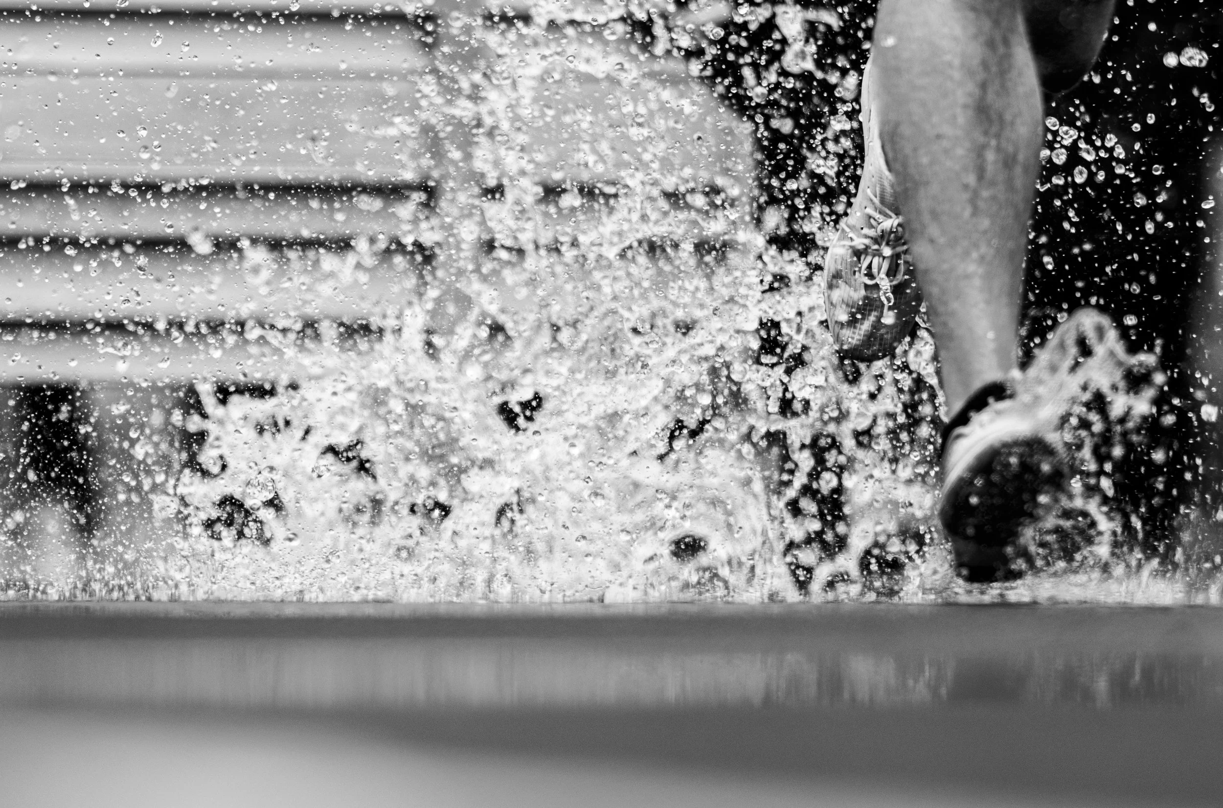 championship e8s-15.jpg