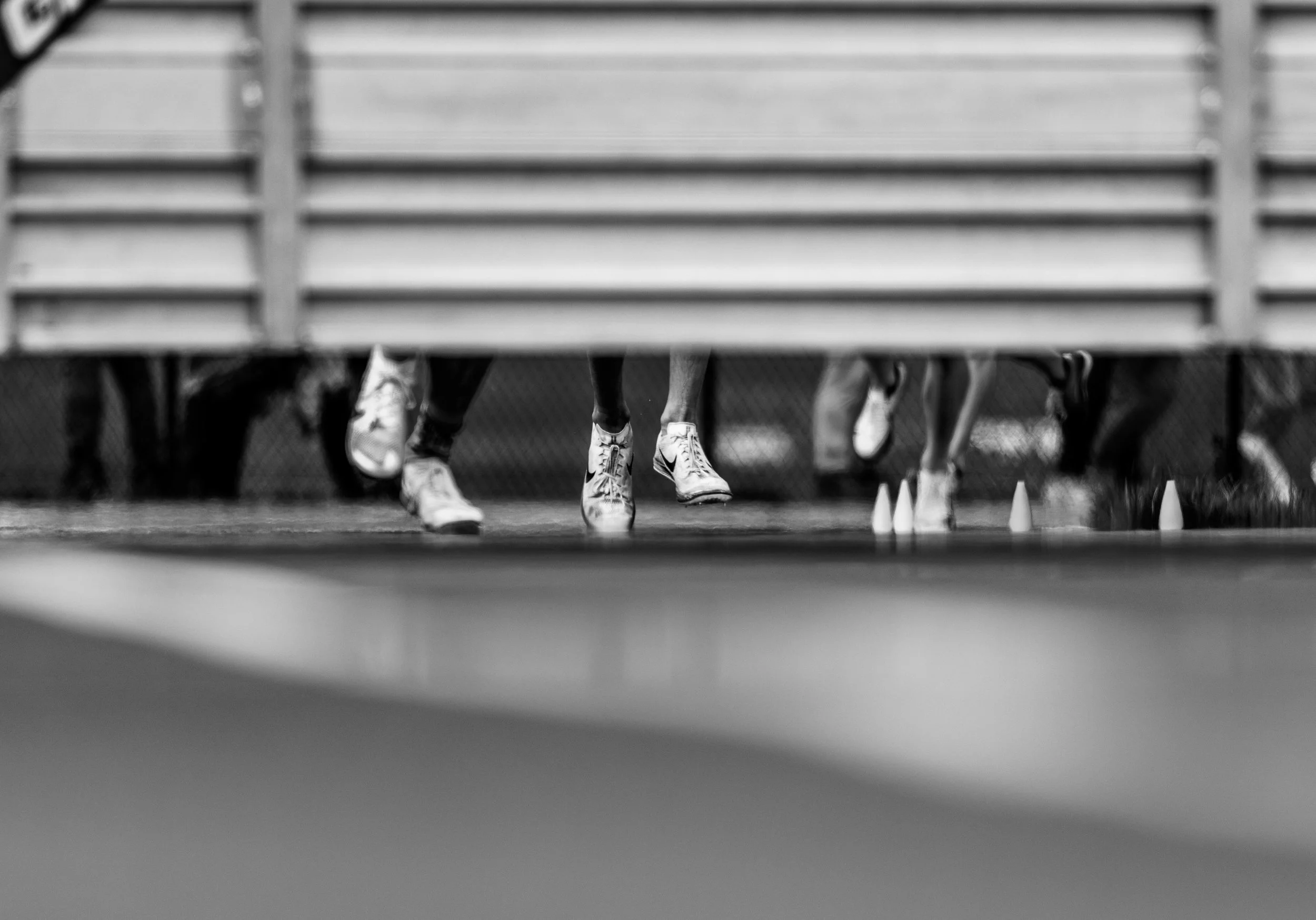 championship e8s-11.jpg