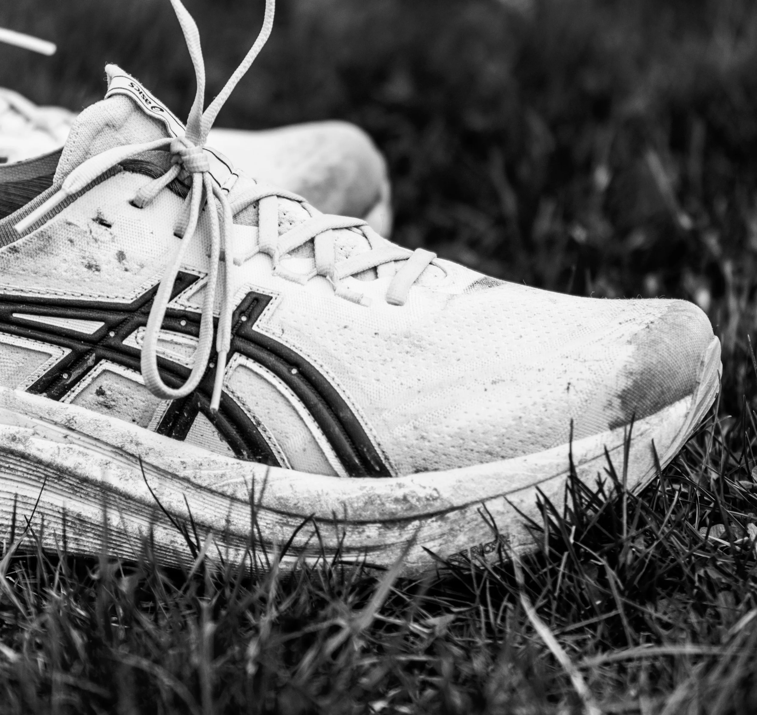 championship e8s-17 (1).jpg