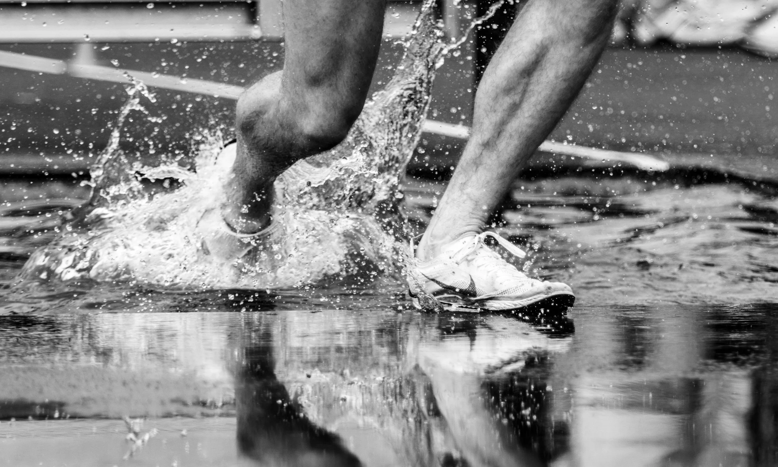 championship e8s-10.jpg