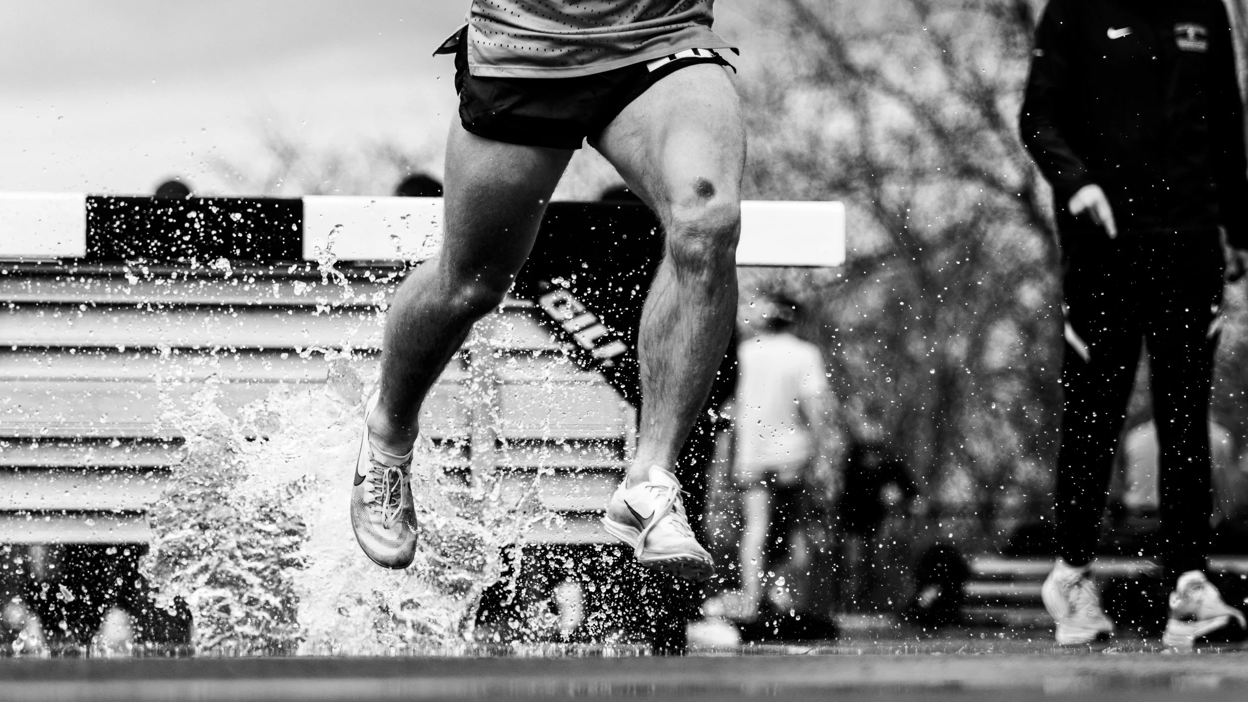 championship e8s-12.jpg