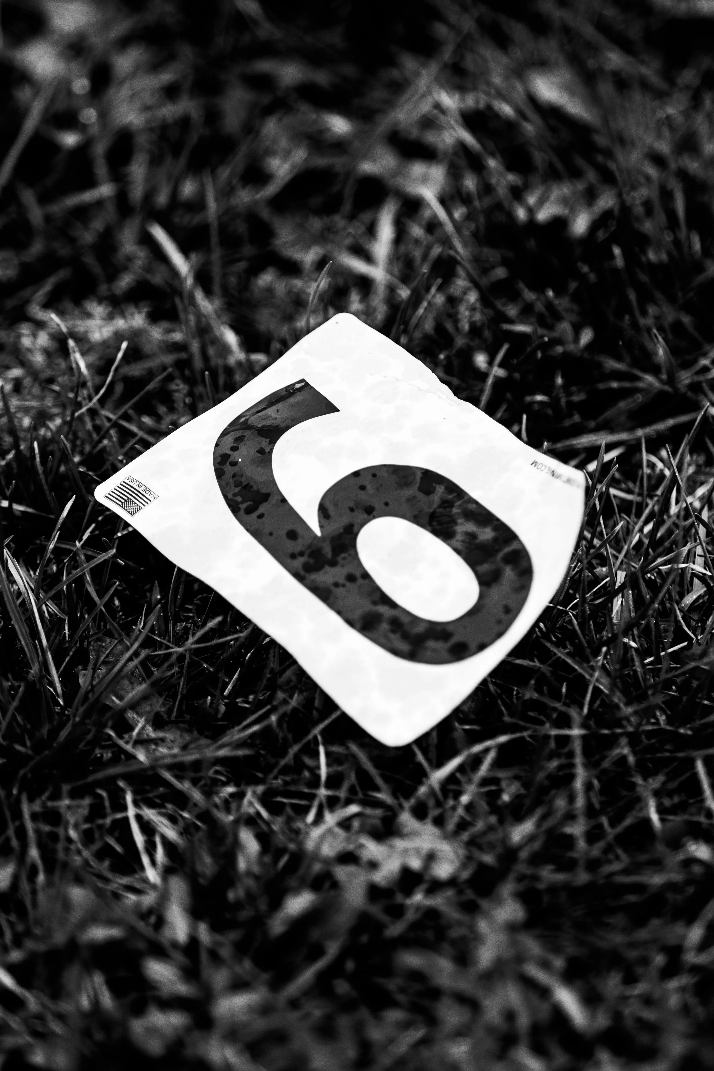 championship e8s-26.jpg