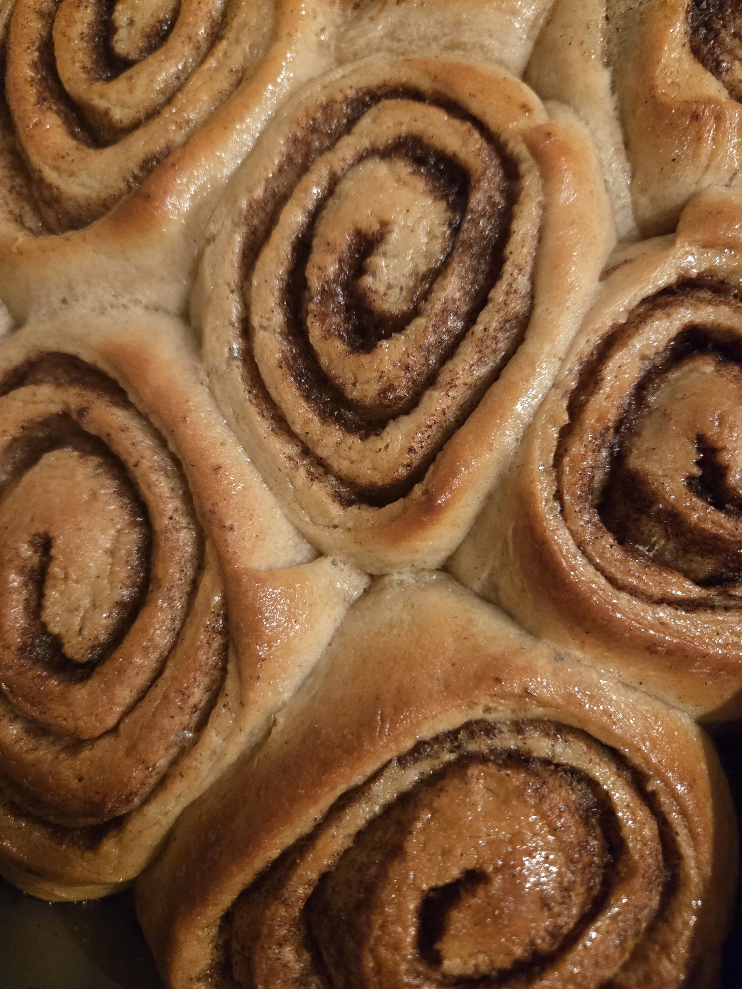 Vegan Challah Cinnamon Rolls.jpg