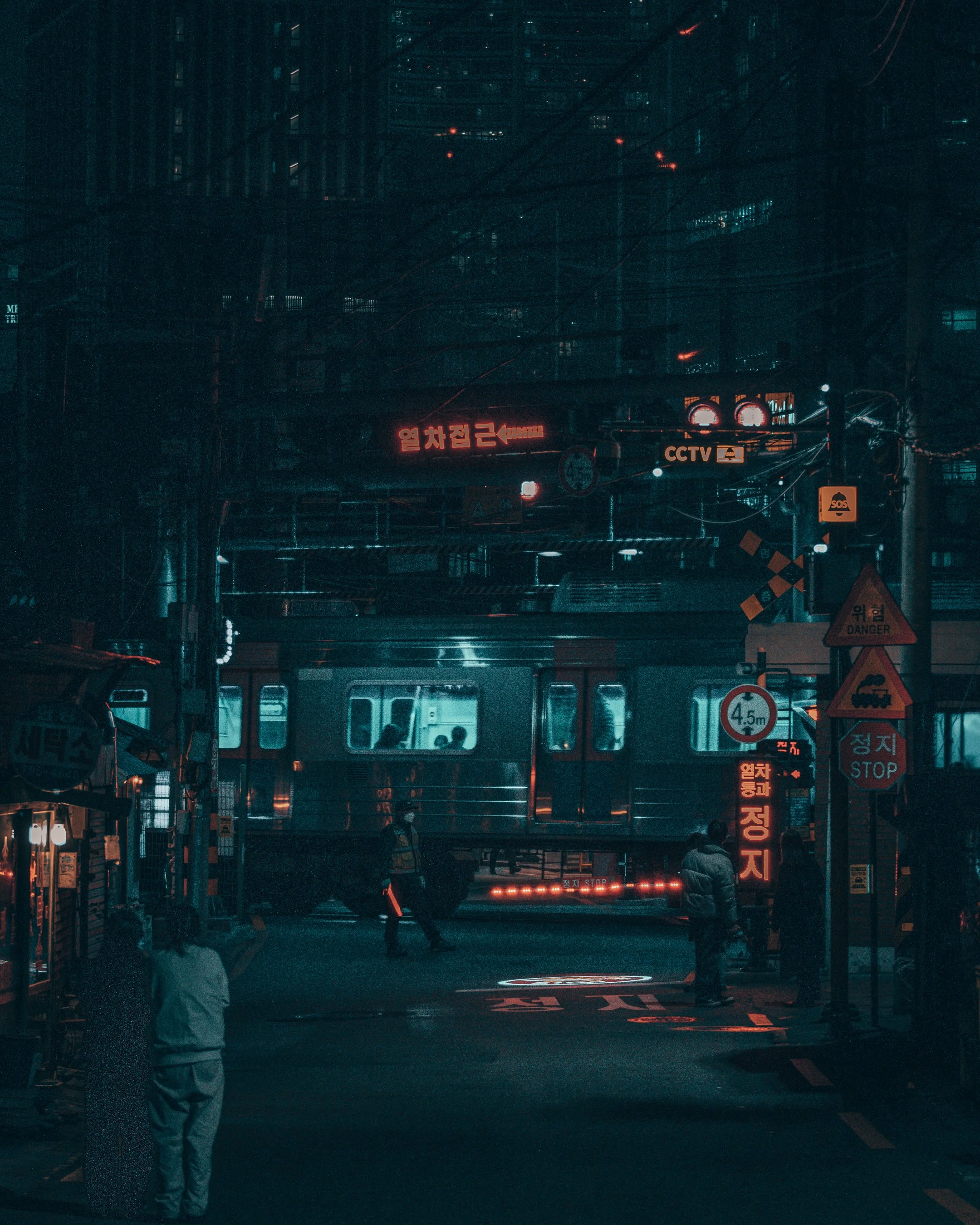 baekbin crossing 4.jpg