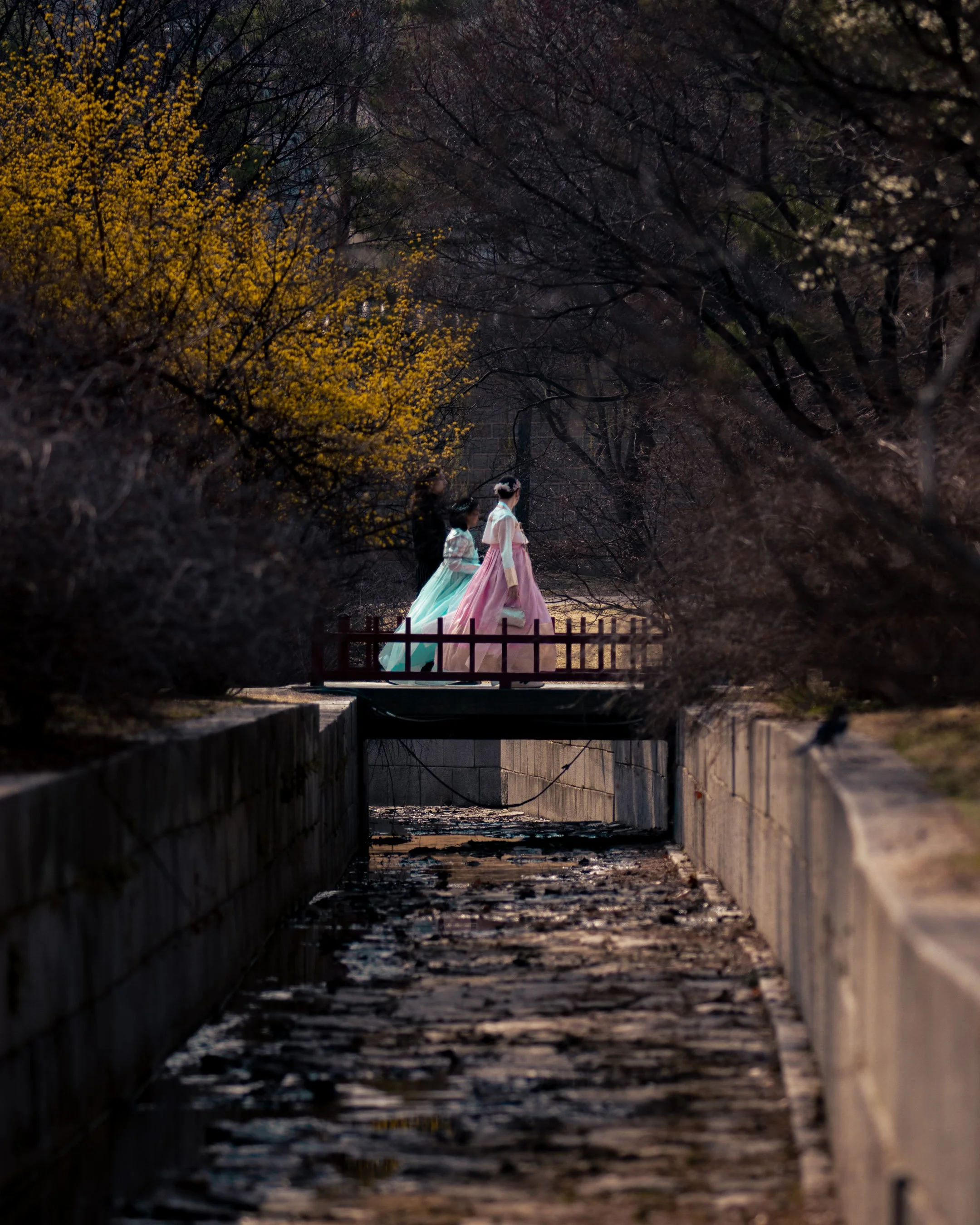 seoul bridge.jpg