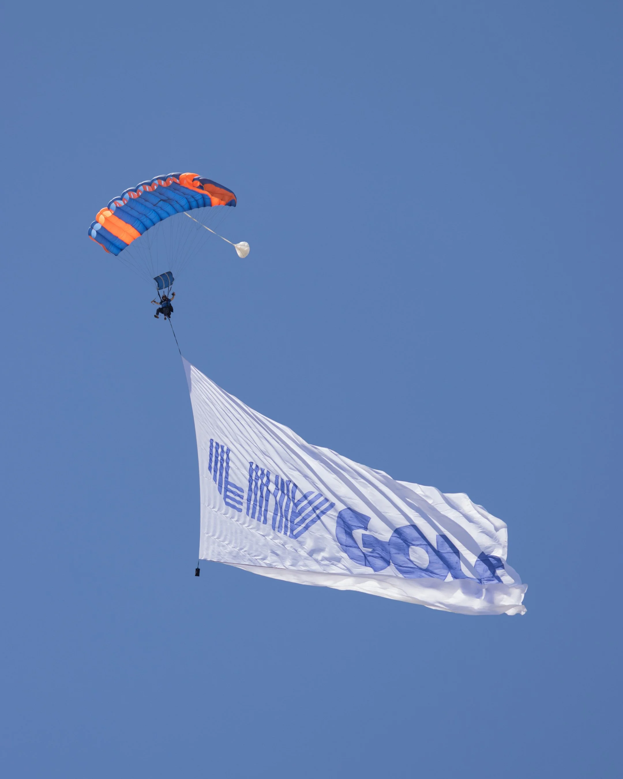 LIV parachute flag.jpg