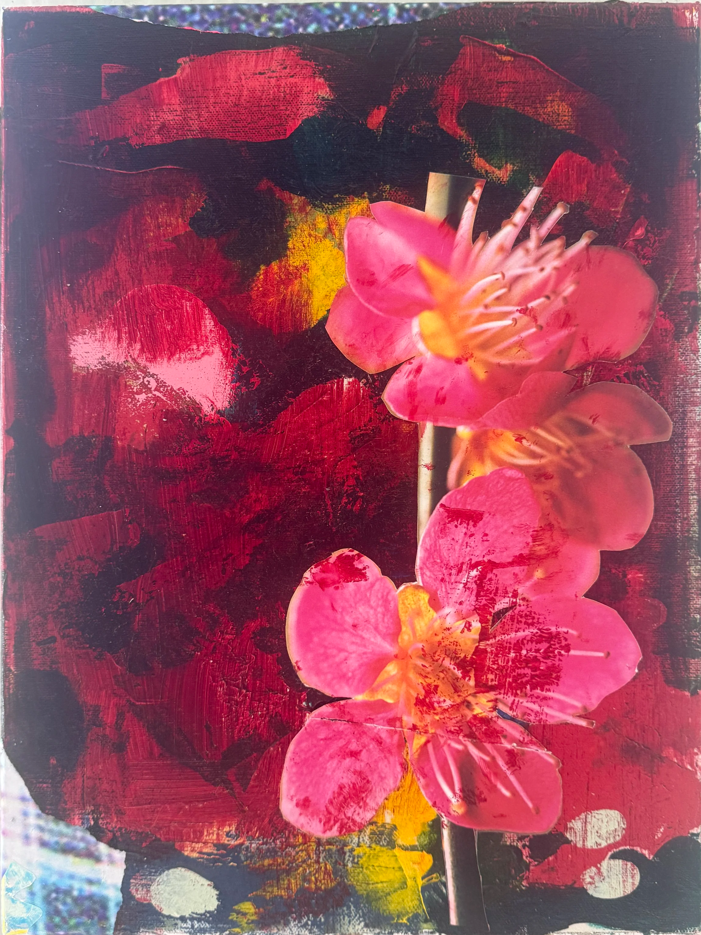 in bloom
