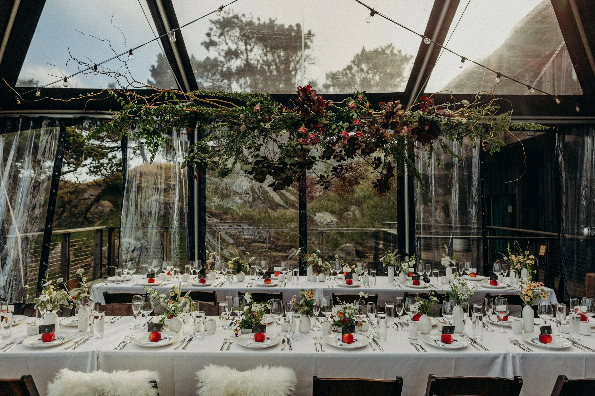A decorated outdoor banquet table set for a celebration under a glass roof with string lights and a floral arrangement overhead. Amy + Dave, Timber Cove 