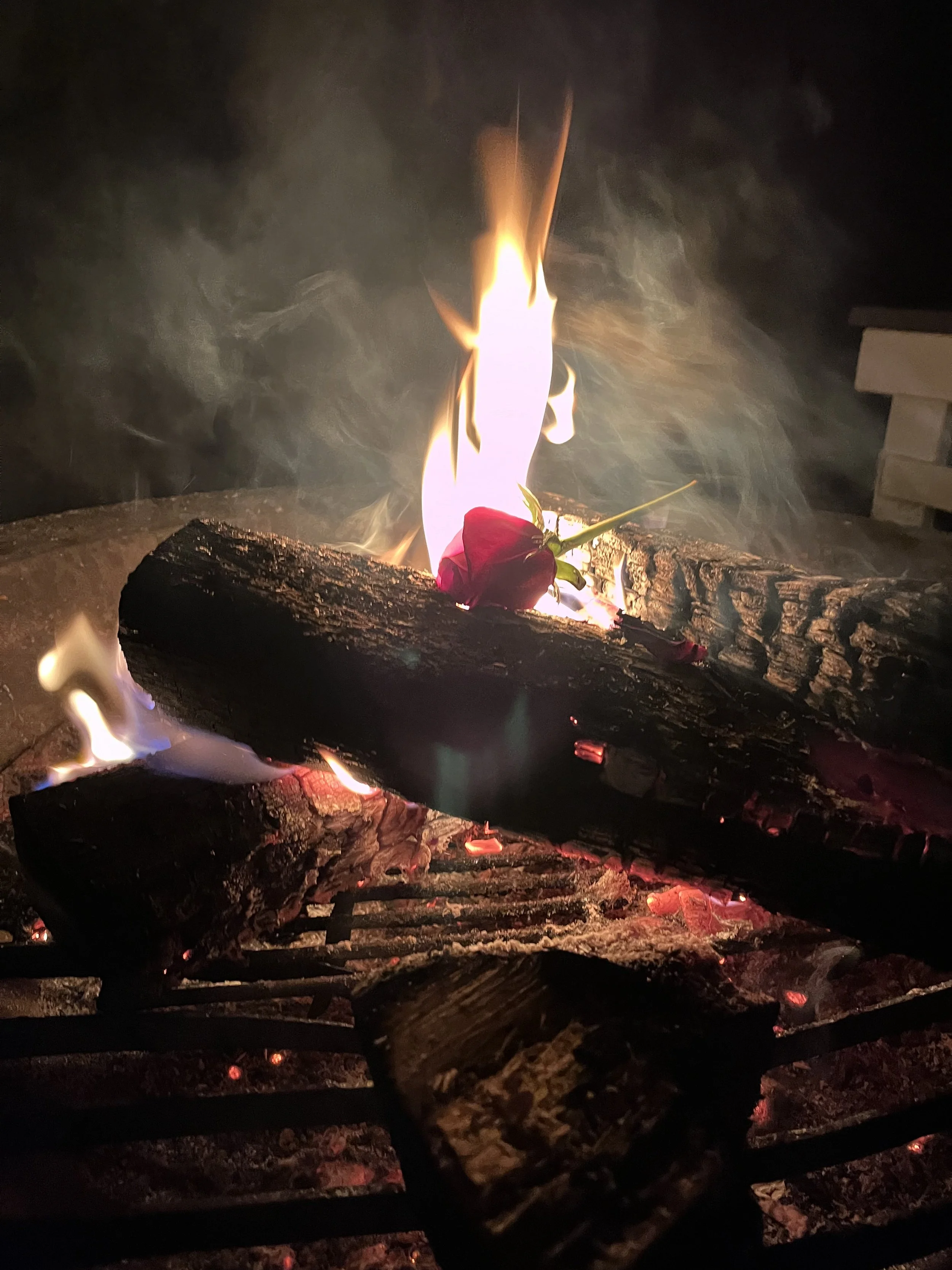 Part 2 of 3 — The Vision by the Fire