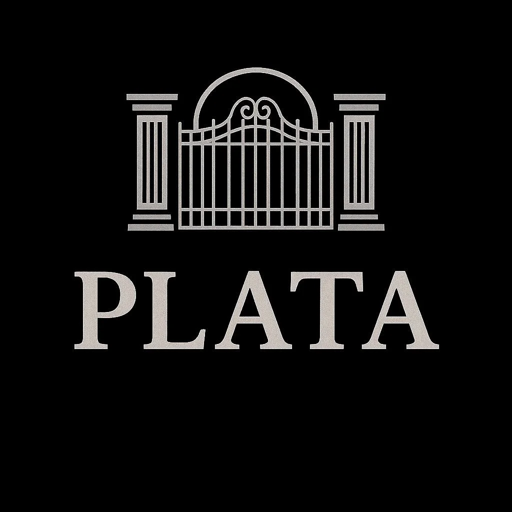 Plata (IVA incluído)