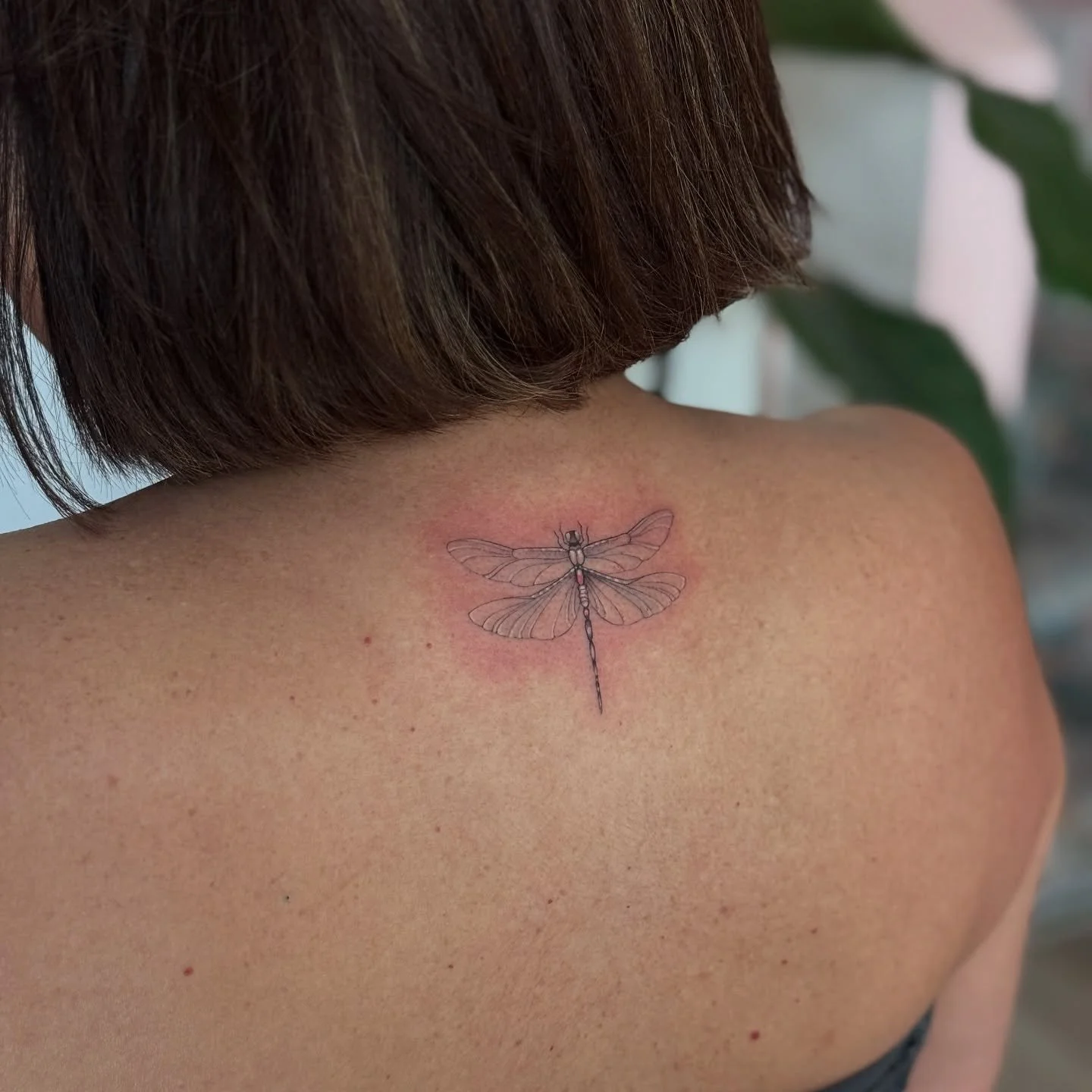 We love dainty tattoos ❤️
Done by @glitterpoops_ 

#miamitattooshop #miamitattooartist #miamitattoos #femaletattooartist #daintytattoos #finelinetattoos #microtattoo #linework #dragonflytattoo #cutetattoos