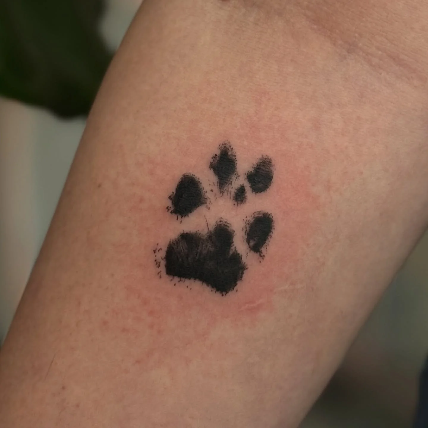 Every detail counts 🐾 
Done by @glitterpoops_ 

#miamitattooshops #miamitattoos #miamitattooartist #femaletattooartist #pawprinttattoo #pettattoo #memorialtattoo